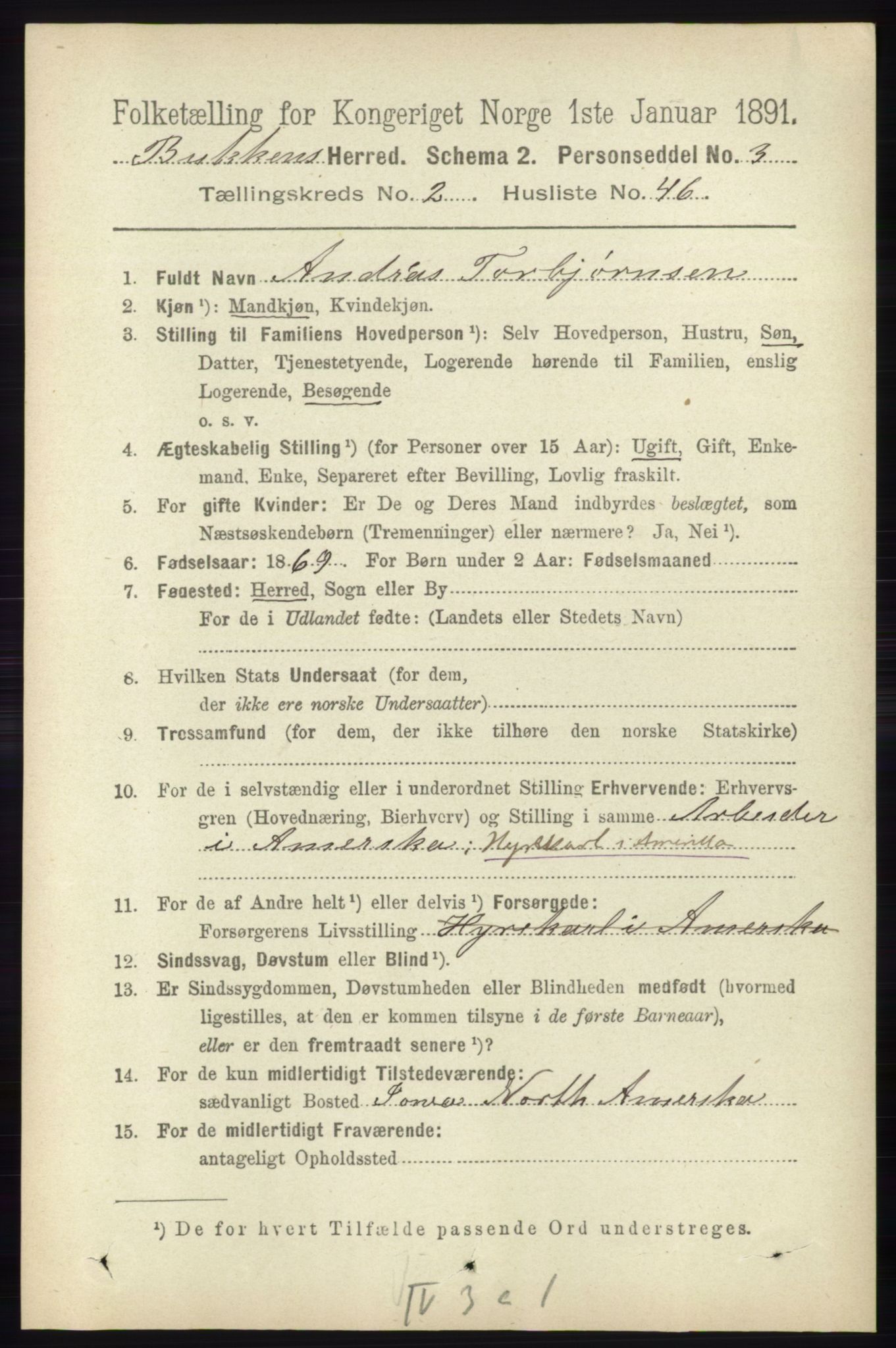 RA, 1891 census for 1145 Bokn, 1891, p. 581