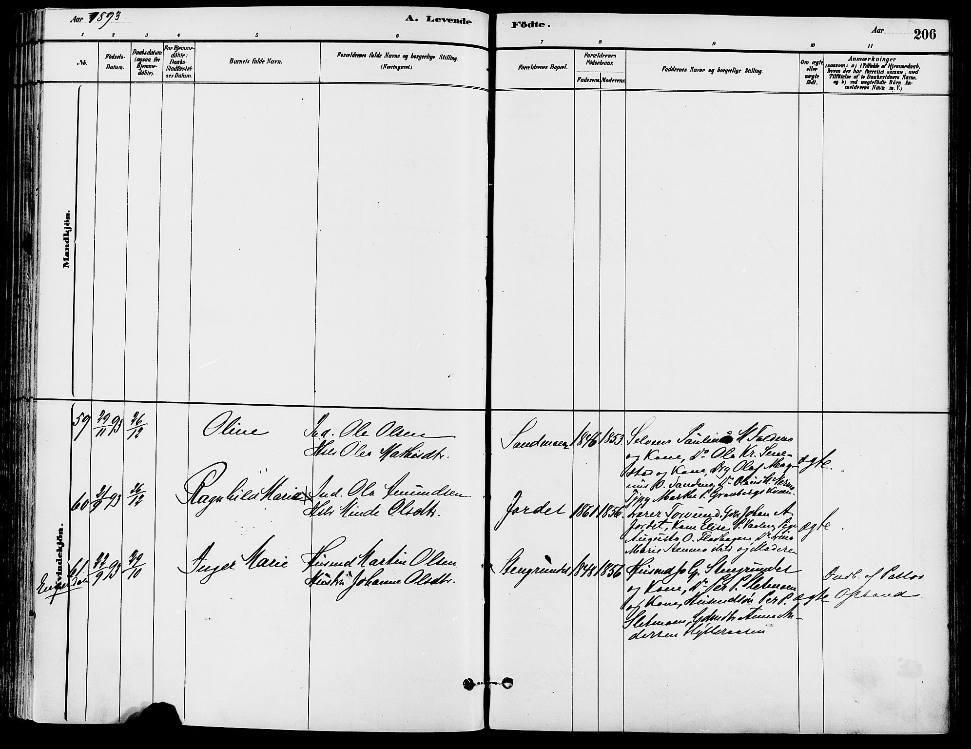 Trysil prestekontor, SAH/PREST-046/H/Ha/Haa/L0008: Parish register (official) no. 8, 1881-1897, p. 206