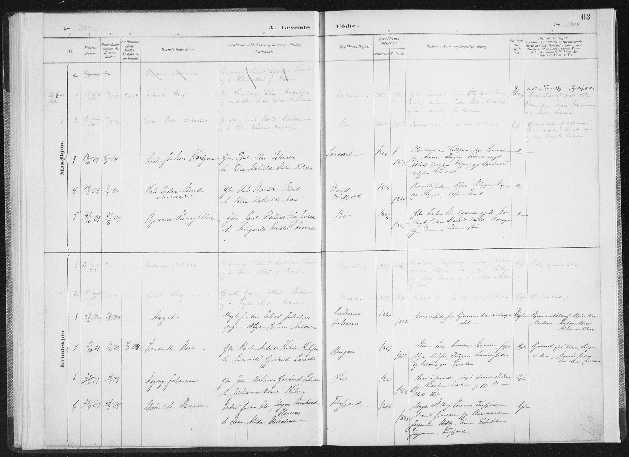 Ministerialprotokoller, klokkerbøker og fødselsregistre - Nordland, AV/SAT-A-1459/898/L1422: Parish register (official) no. 898A02, 1887-1908, p. 63