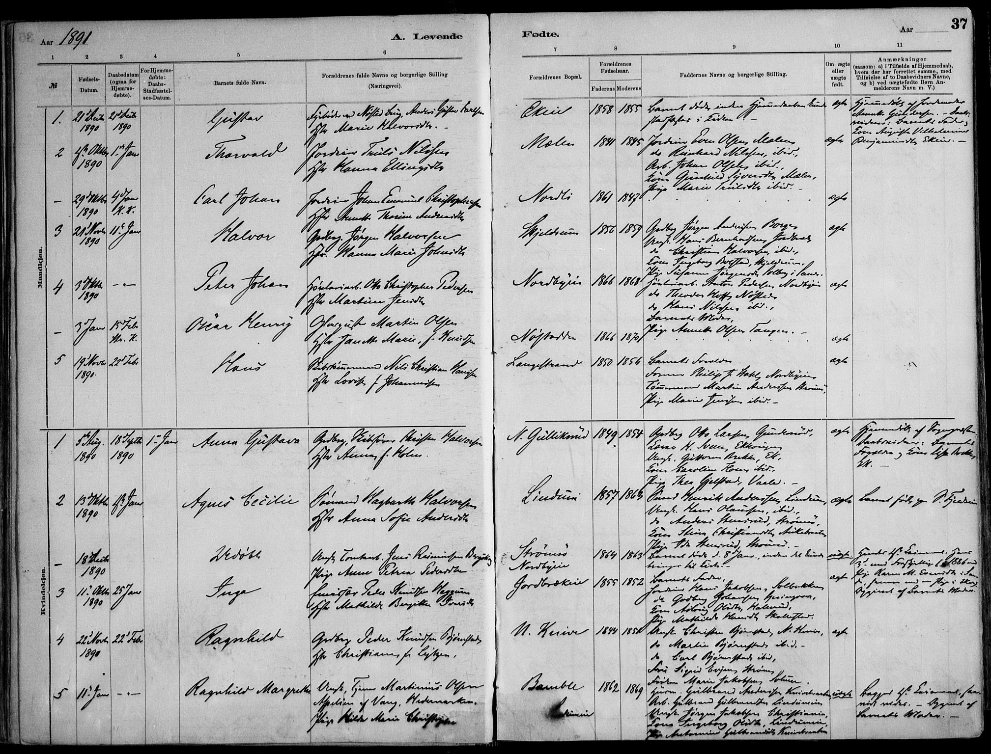 Skoger kirkebøker, AV/SAKO-A-59/F/Fa/L0006: Parish register (official) no. I 6, 1885-1910, p. 37