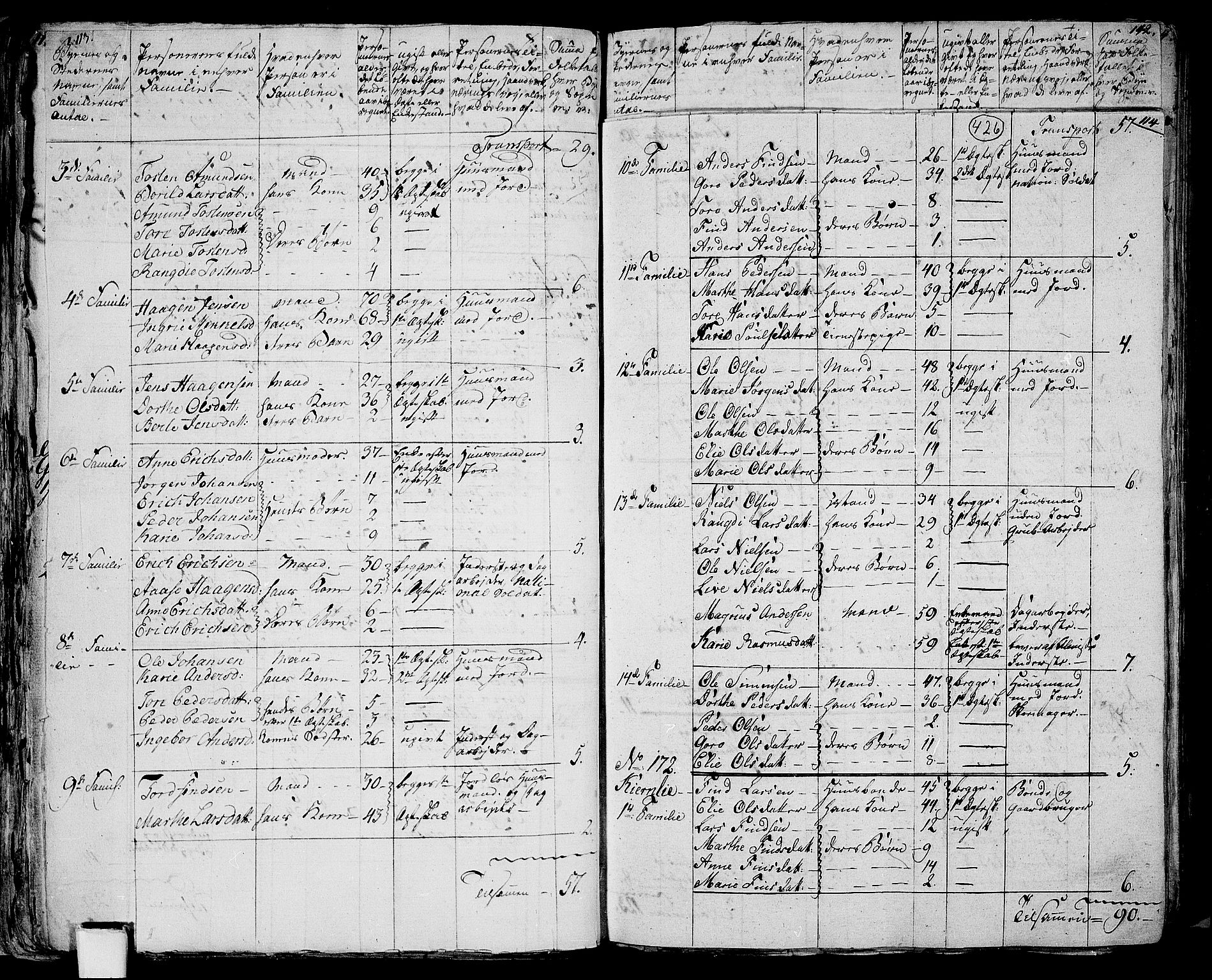 RA, 1801 census for 0419P Strøm, 1801, p. 425b-426a