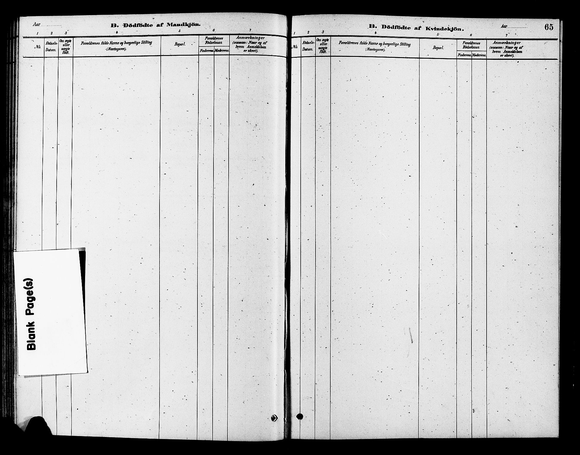 Flesberg kirkebøker, SAKO/A-18/F/Fc/L0001: Parish register (official) no. III 1, 1879-1905, p. 65