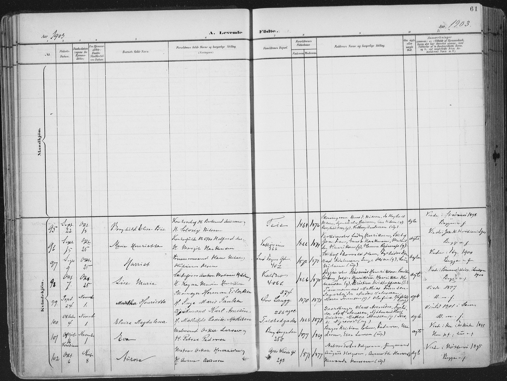 Tønsberg kirkebøker, SAKO/A-330/F/Fa/L0014: Parish register (official) no. I 14, 1900-1913, p. 61