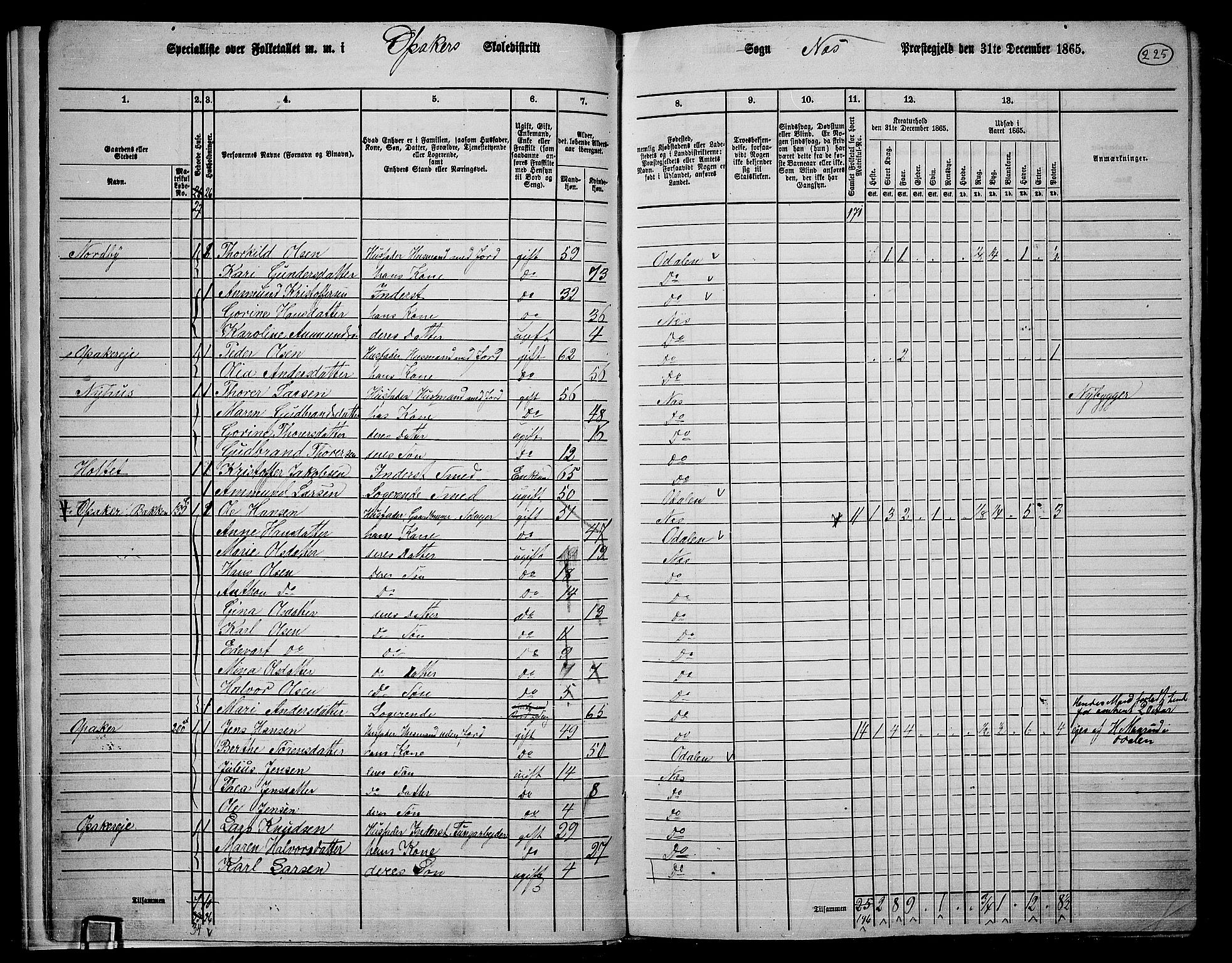 RA, 1865 census for Nes, 1865, p. 208