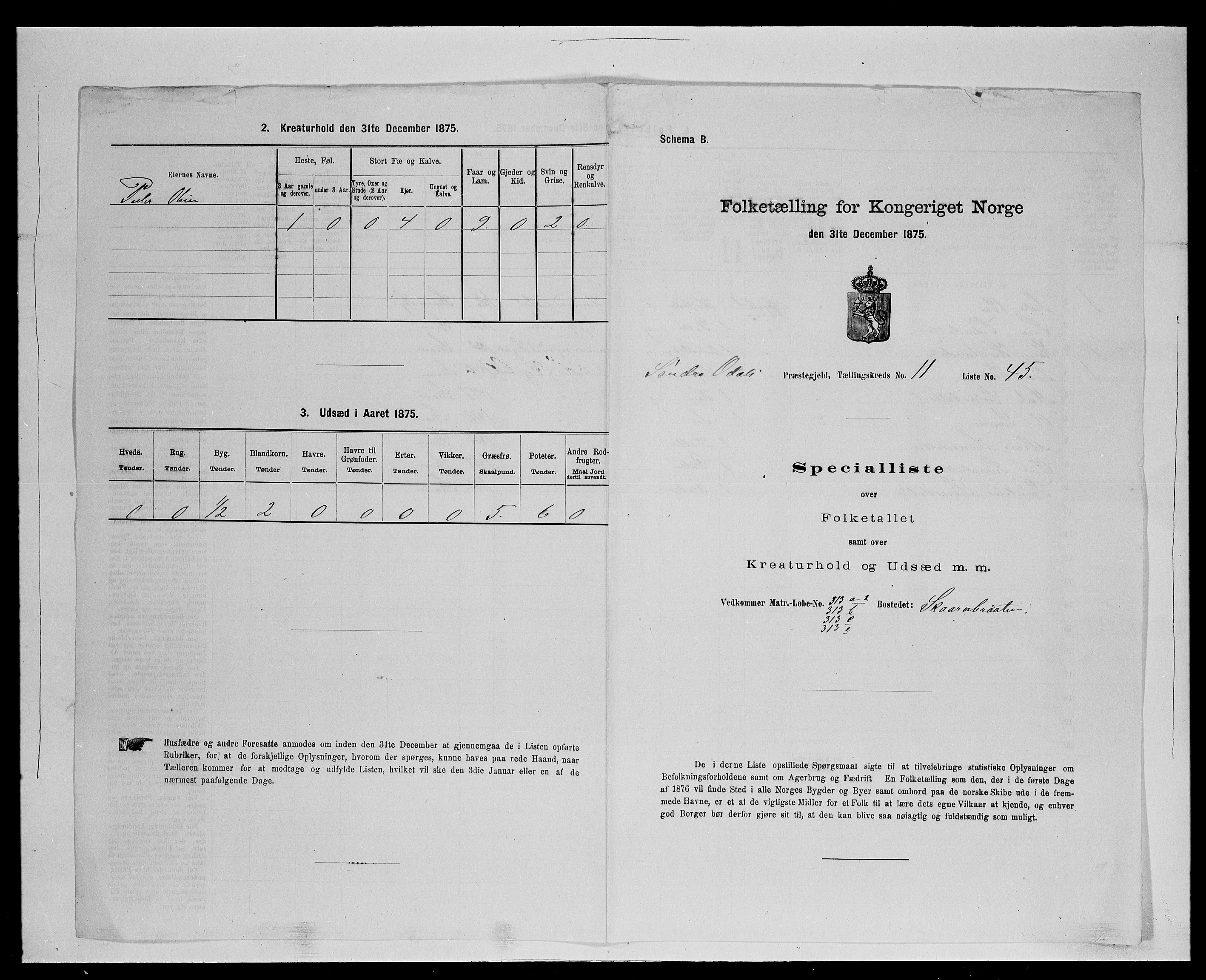 SAH, 1875 census for 0419P Sør-Odal, 1875, p. 1155