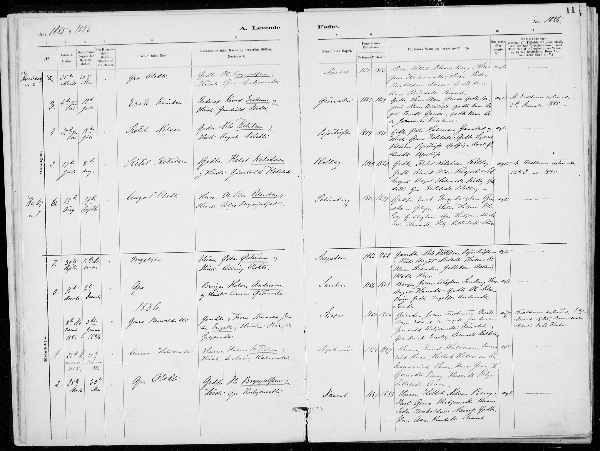 Tinn kirkebøker, SAKO/A-308/F/Fb/L0002: Parish register (official) no. II 2, 1878-1917, p. 11