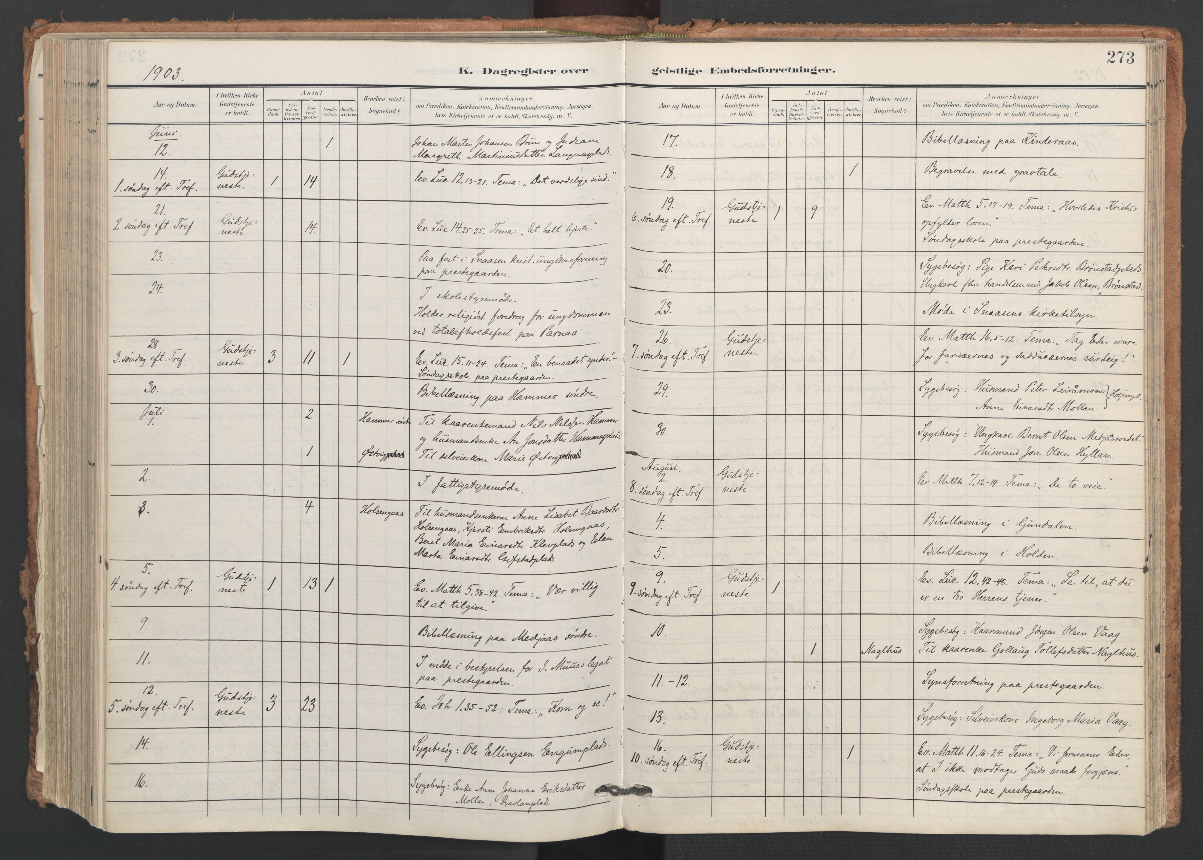 Ministerialprotokoller, klokkerbøker og fødselsregistre - Nord-Trøndelag, AV/SAT-A-1458/749/L0477: Parish register (official) no. 749A11, 1902-1927, p. 273