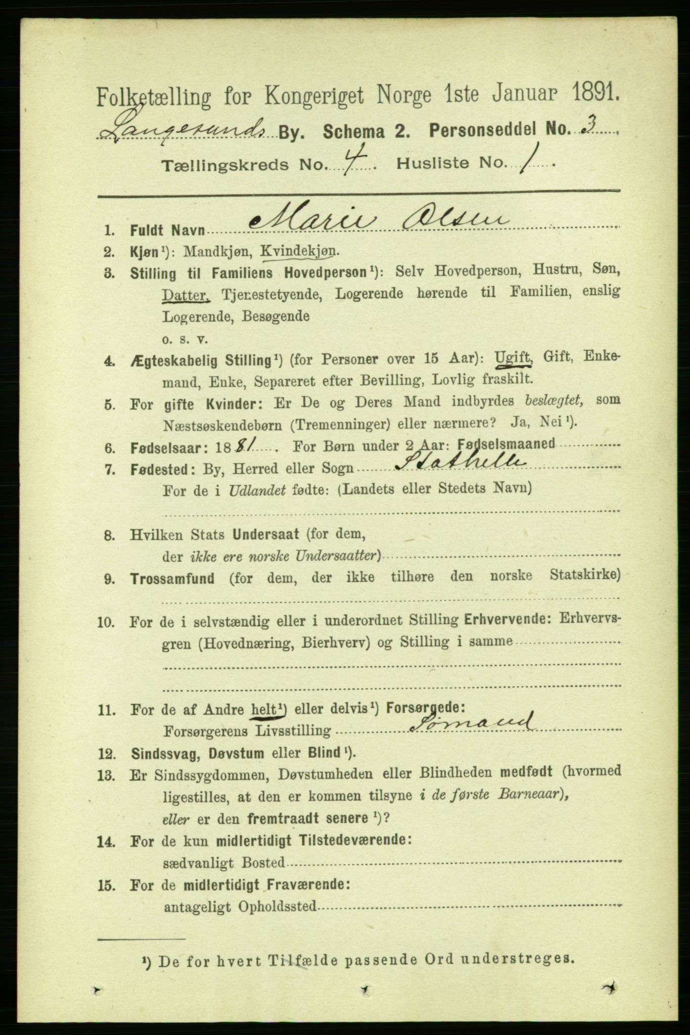 RA, 1891 census for 0802 Langesund, 1891, p. 1155