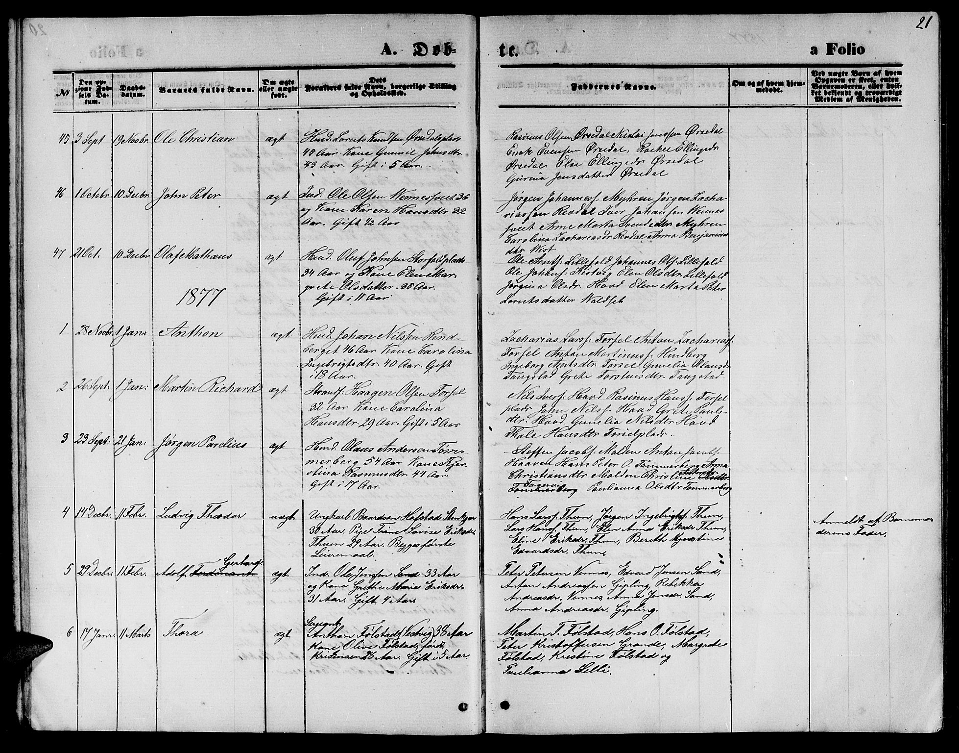 Ministerialprotokoller, klokkerbøker og fødselsregistre - Nord-Trøndelag, SAT/A-1458/744/L0422: Parish register (copy) no. 744C01, 1871-1885, p. 21