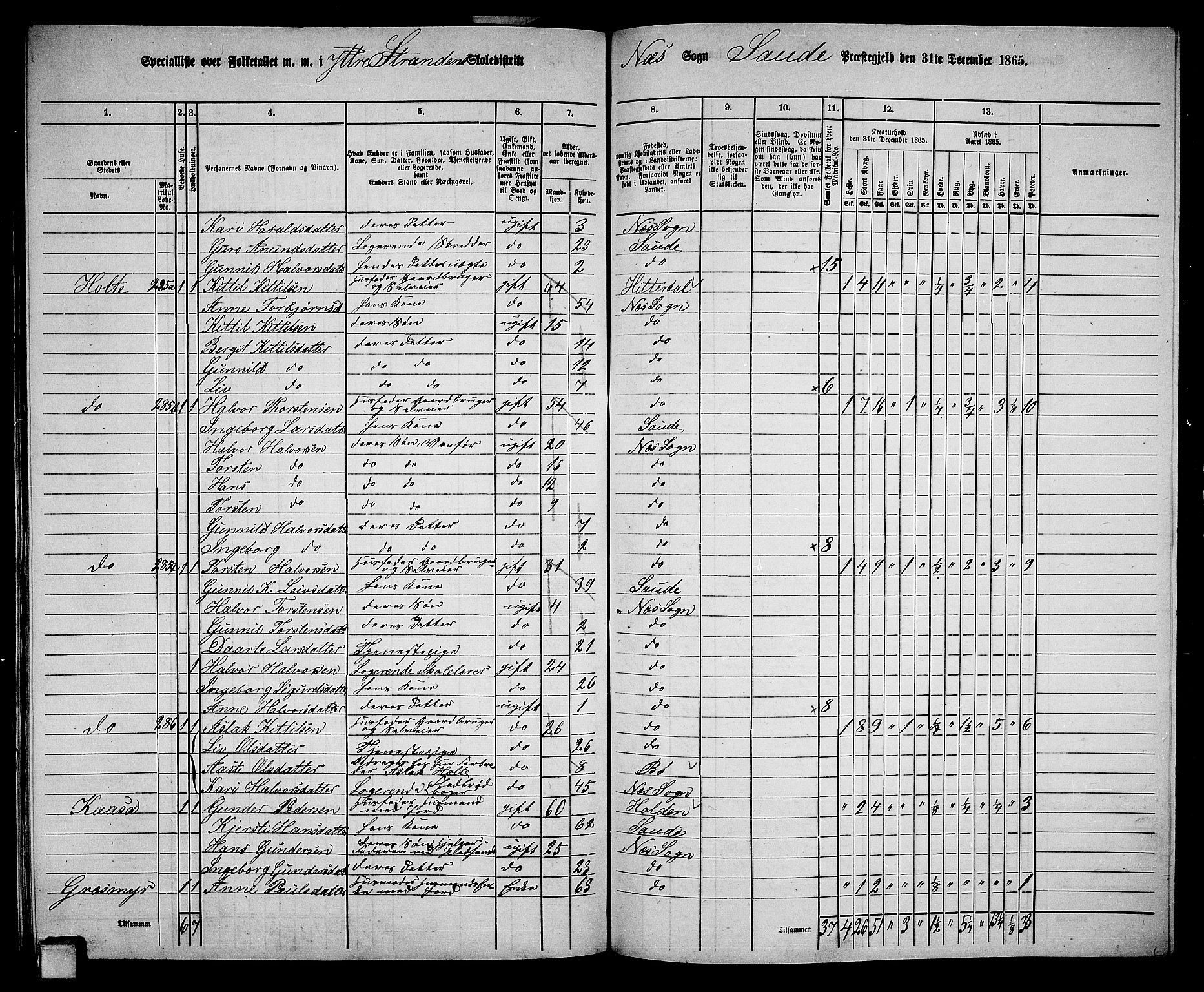 RA, 1865 census for Sauherad, 1865, p. 169