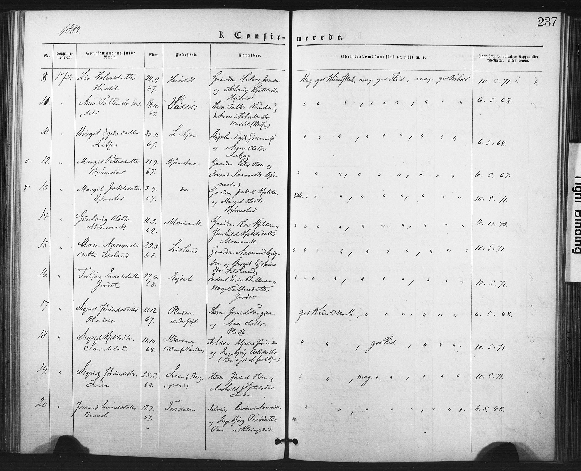 Fyresdal kirkebøker, SAKO/A-263/F/Fa/L0006: Parish register (official) no. I 6, 1872-1886, p. 237