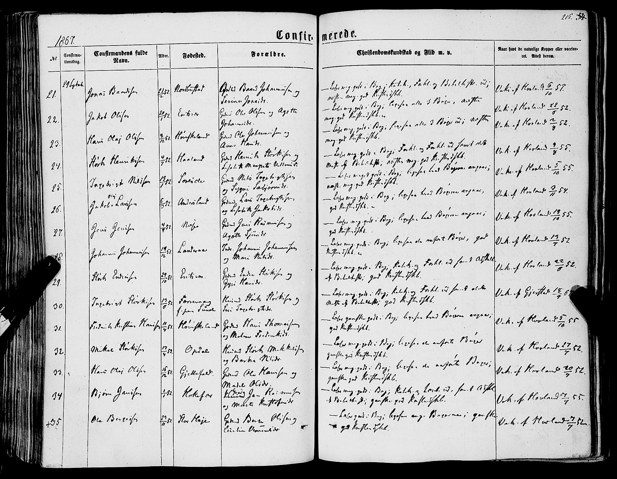 Tysnes sokneprestembete, SAB/A-78601/H/Haa: Parish register (official) no. A 11, 1860-1871, p. 216