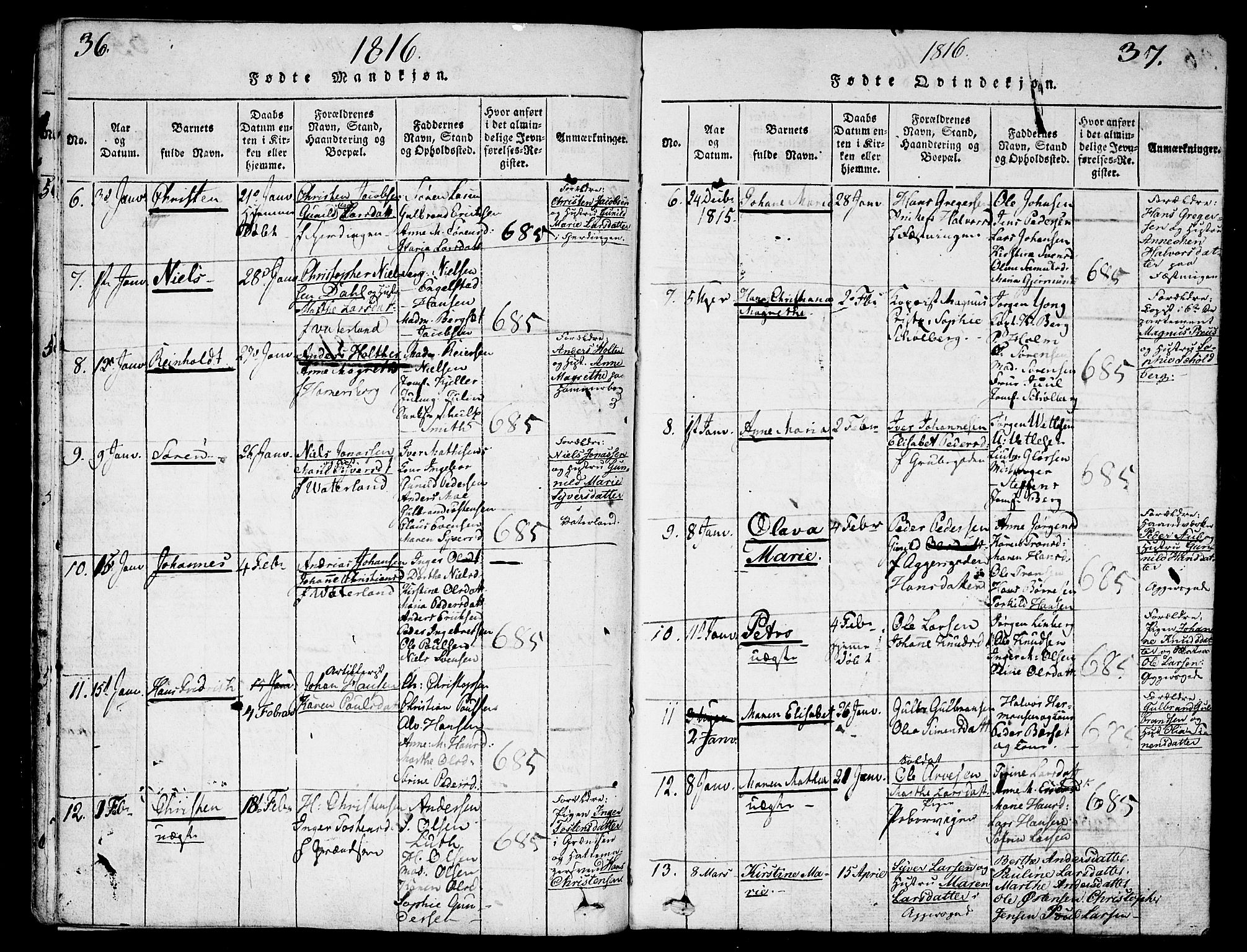 Garnisonsmenigheten Kirkebøker, AV/SAO-A-10846/G/Ga/L0003: Parish register (copy) no. 3, 1815-1819, p. 36-37