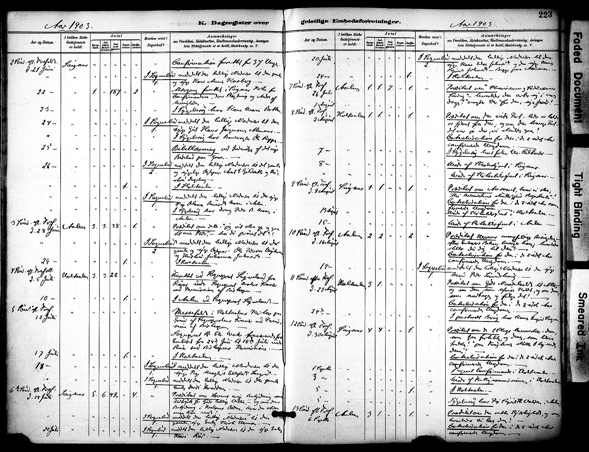 Ministerialprotokoller, klokkerbøker og fødselsregistre - Sør-Trøndelag, AV/SAT-A-1456/686/L0984: Parish register (official) no. 686A02, 1891-1906, p. 223