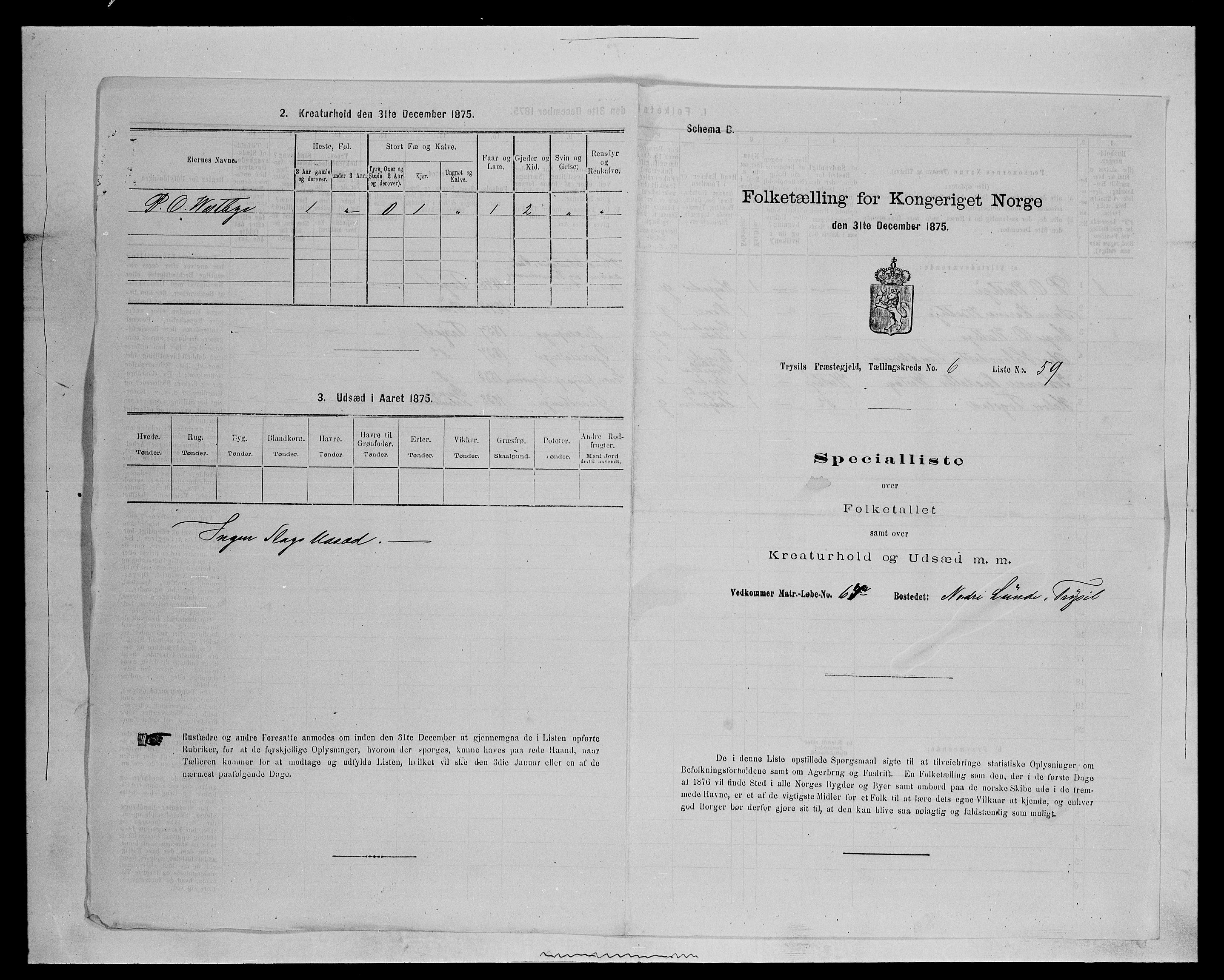 SAH, 1875 census for 0428P Trysil, 1875, p. 837