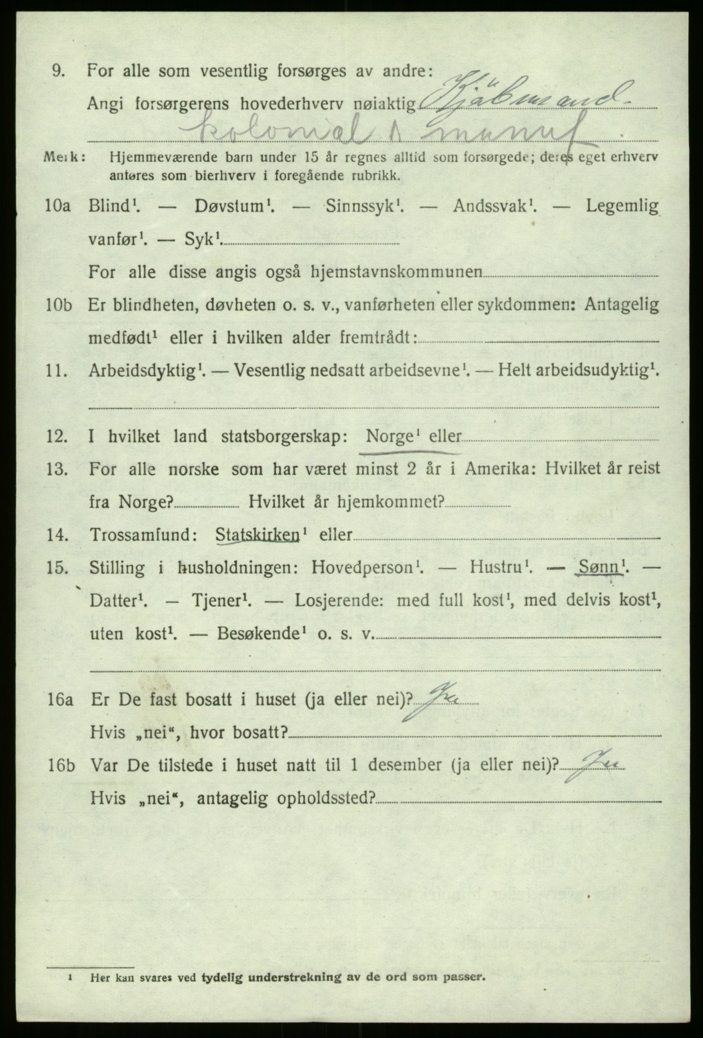 SAO, 1920 census for Borge, 1920, p. 4950