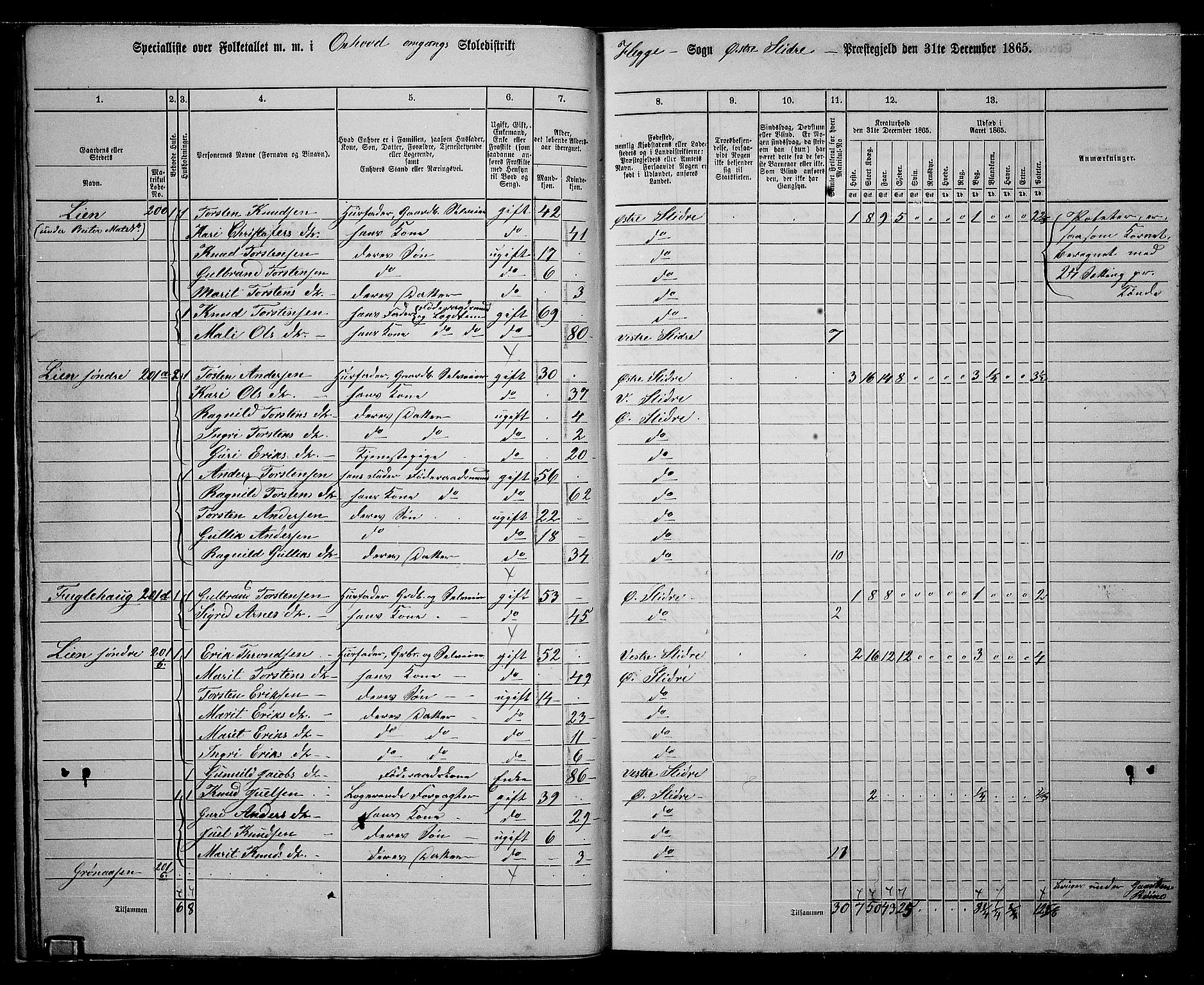 RA, 1865 census for Øystre Slidre, 1865, p. 20