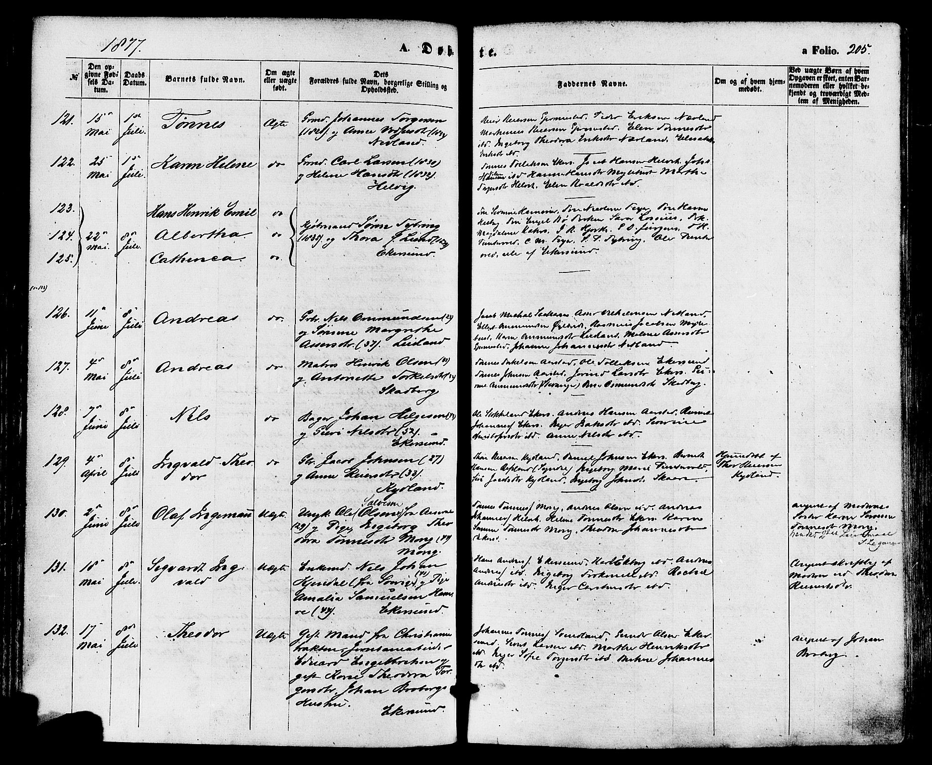 Eigersund sokneprestkontor, SAST/A-101807/S08/L0014: Parish register (official) no. A 13, 1866-1878, p. 205