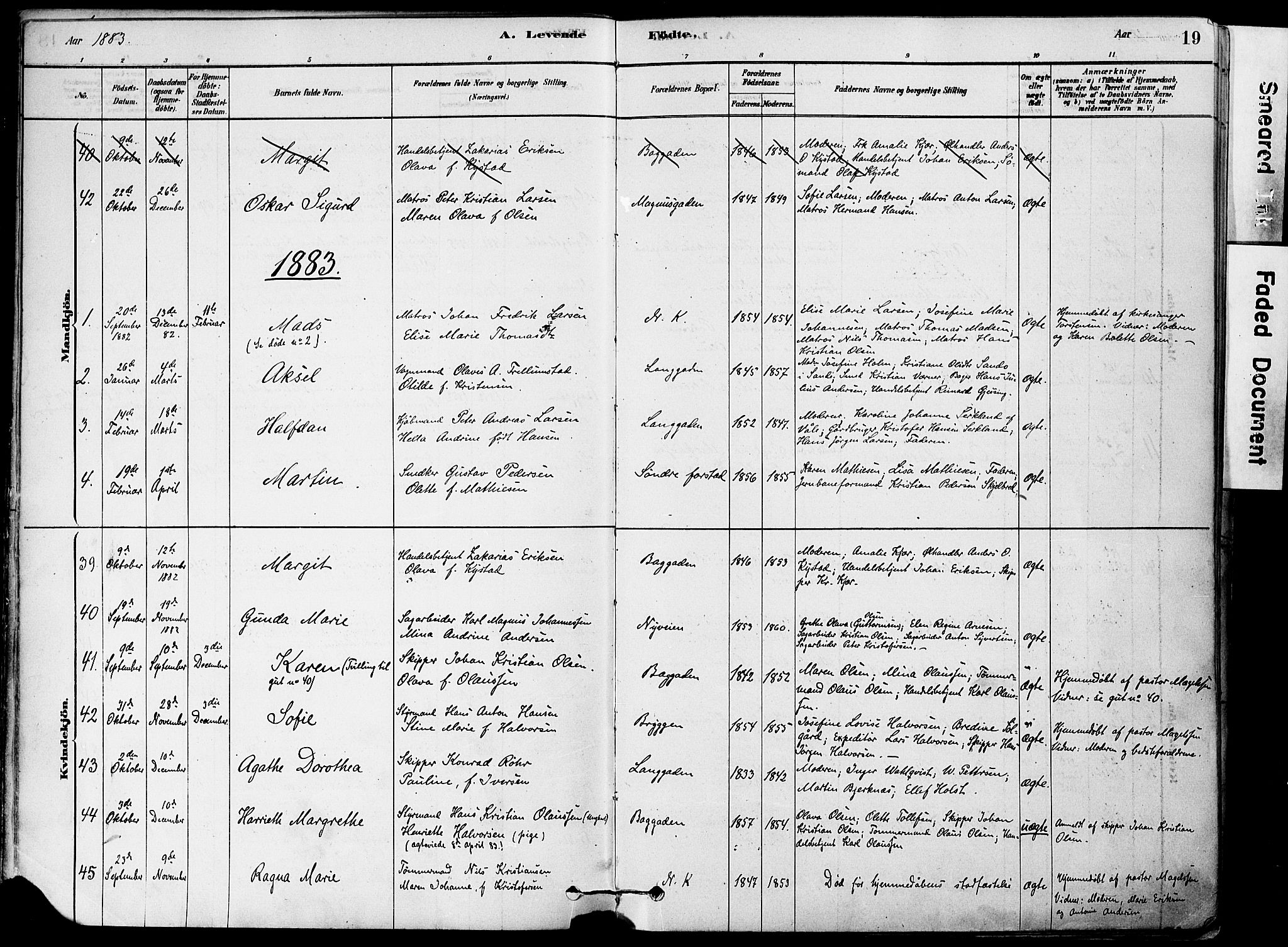 Holmestrand kirkebøker, AV/SAKO-A-346/F/Fa/L0004: Parish register (official) no. 4, 1880-1901, p. 19