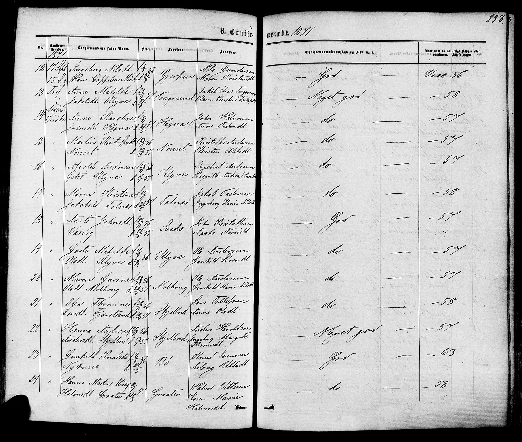Solum kirkebøker, SAKO/A-306/F/Fa/L0008: Parish register (official) no. I 8, 1865-1876, p. 238