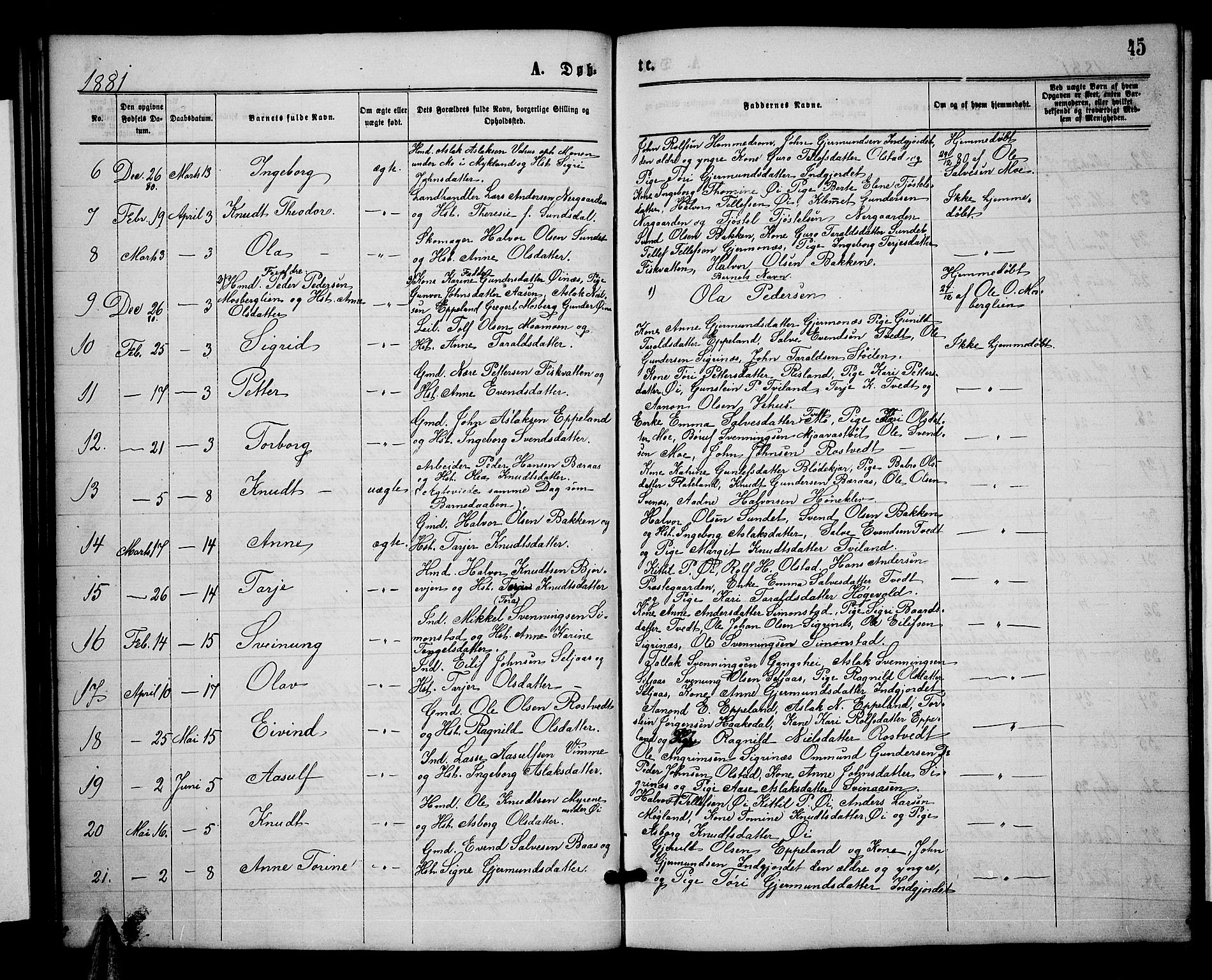 Åmli sokneprestkontor, SAK/1111-0050/F/Fb/Fbc/L0003: Parish register (copy) no. B 3, 1868-1888, p. 45