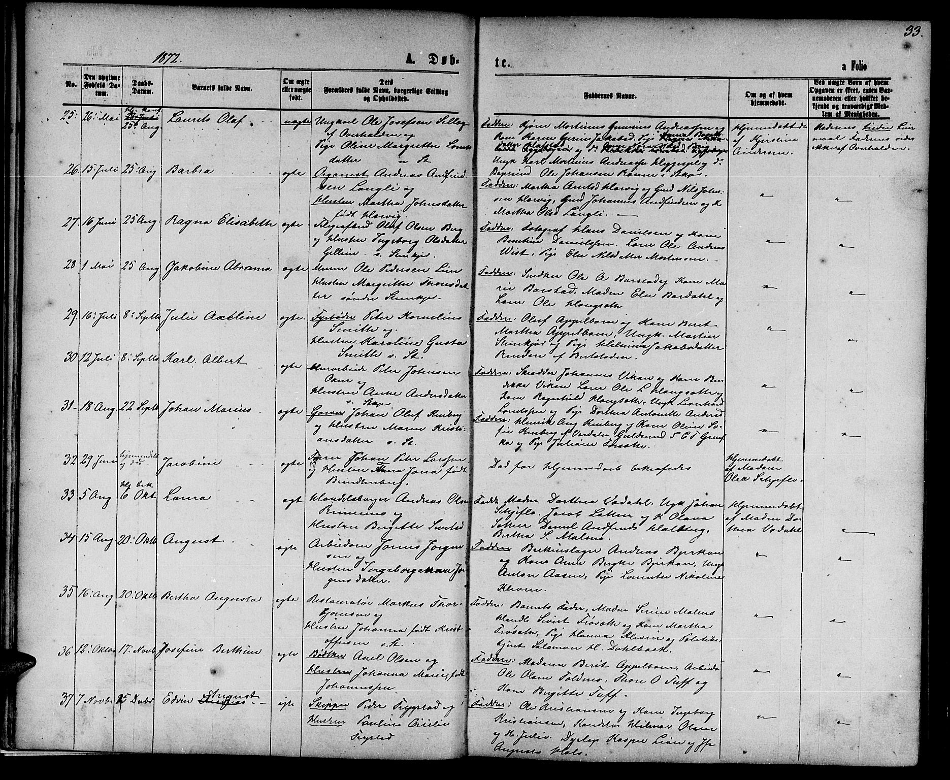 Ministerialprotokoller, klokkerbøker og fødselsregistre - Nord-Trøndelag, SAT/A-1458/739/L0373: Parish register (copy) no. 739C01, 1865-1882, p. 33