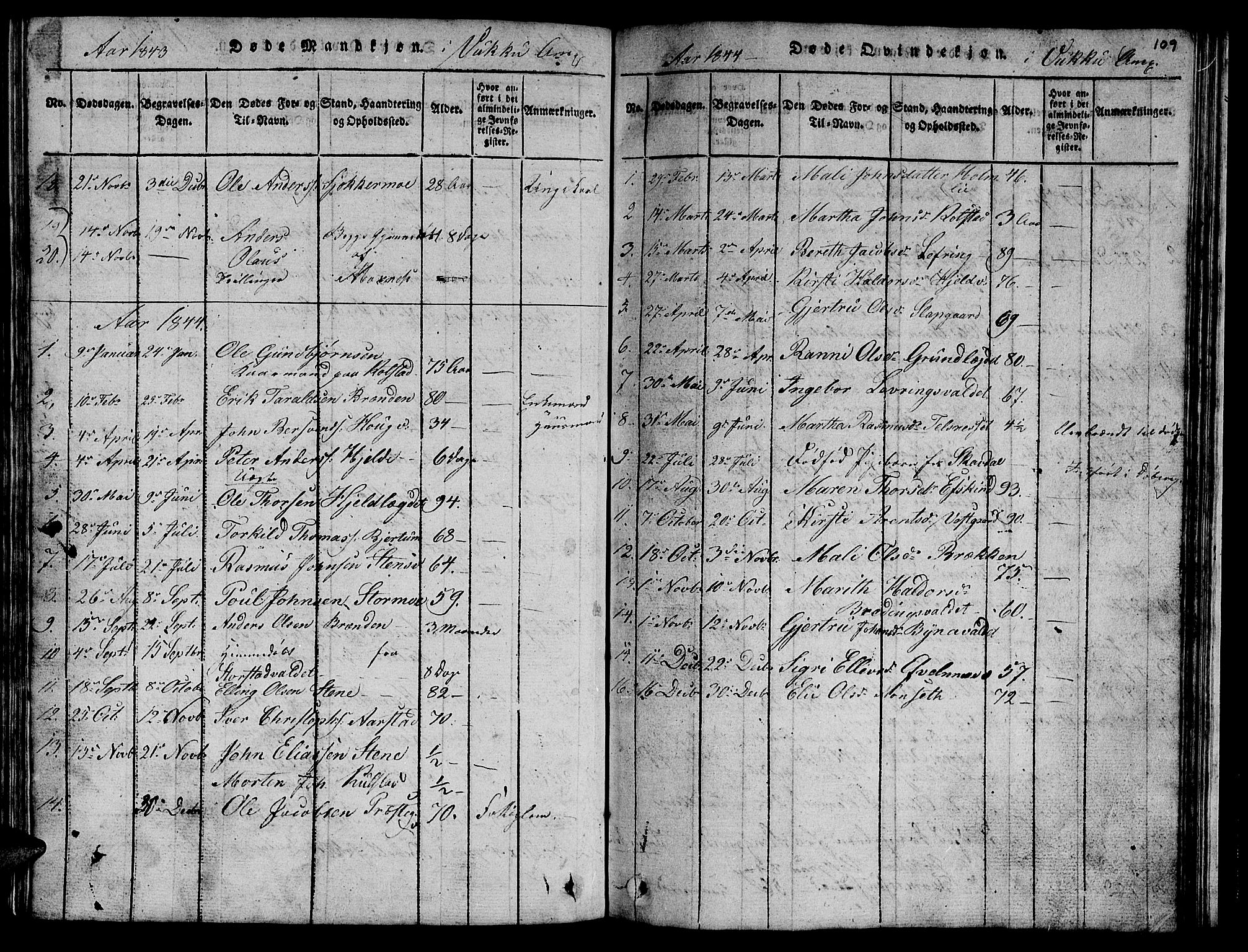 Ministerialprotokoller, klokkerbøker og fødselsregistre - Nord-Trøndelag, SAT/A-1458/723/L0251: Parish register (copy) no. 723C01 /2, 1843-1845, p. 109