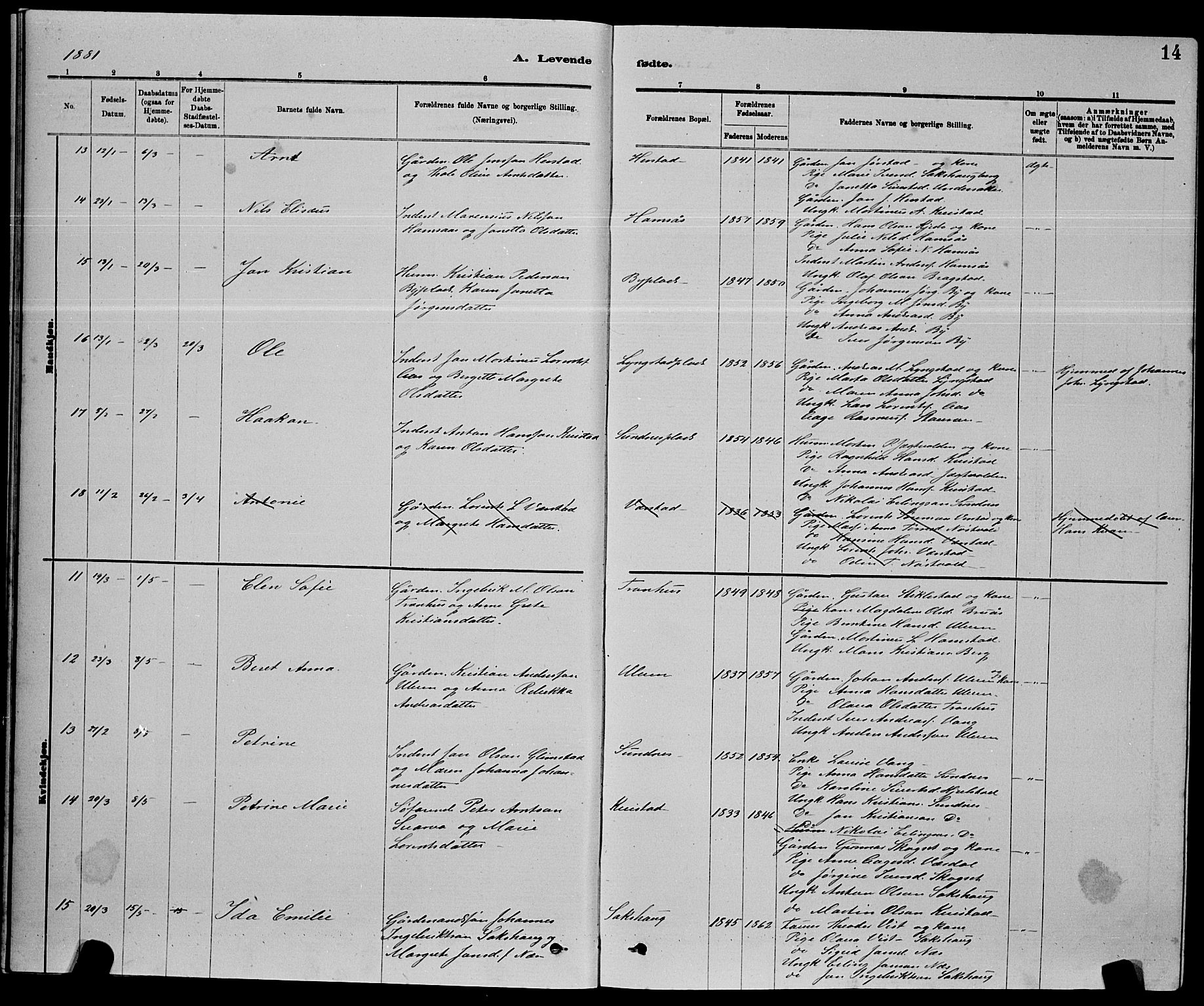 Ministerialprotokoller, klokkerbøker og fødselsregistre - Nord-Trøndelag, AV/SAT-A-1458/730/L0301: Parish register (copy) no. 730C04, 1880-1897, p. 14