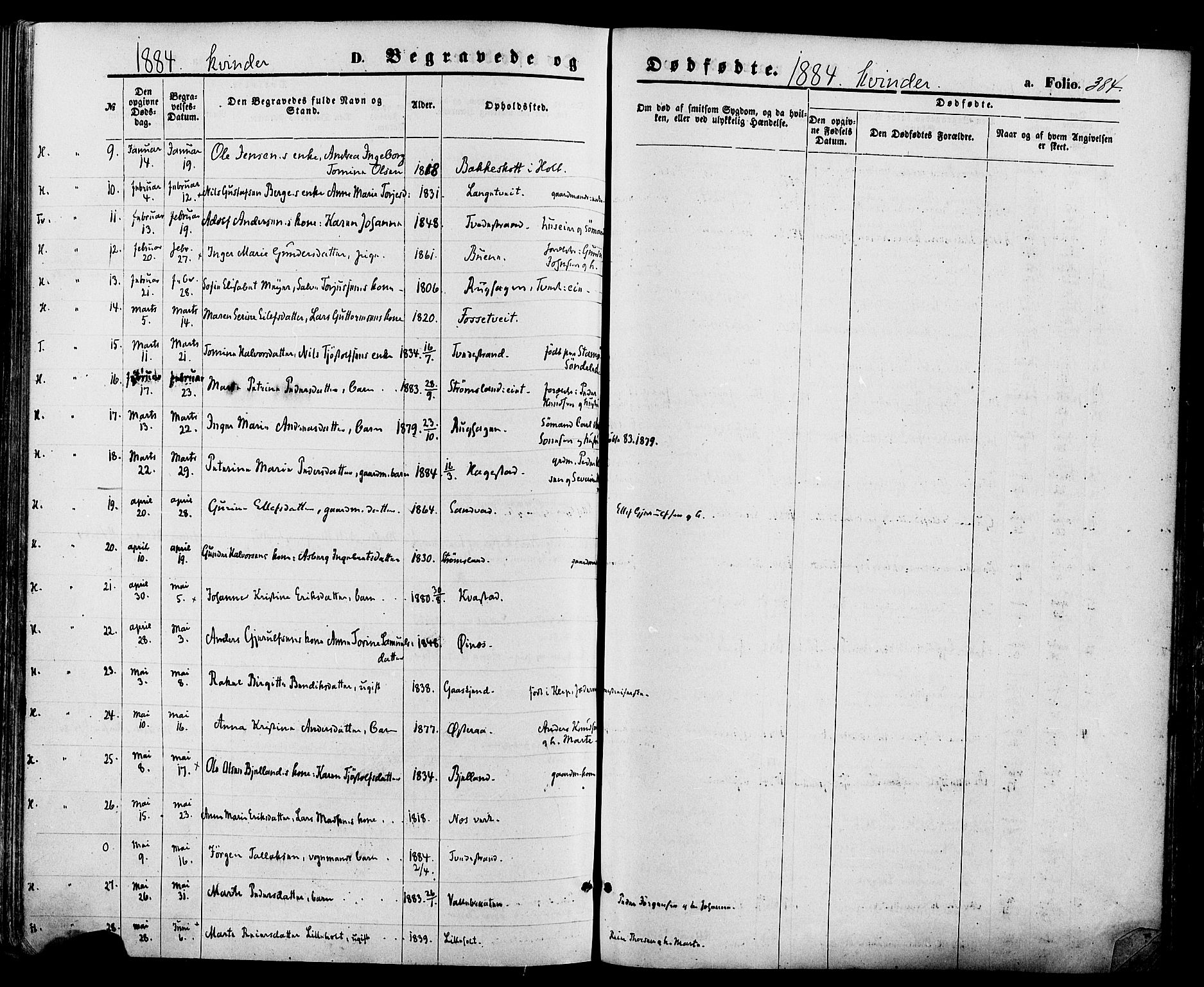 Holt sokneprestkontor, SAK/1111-0021/F/Fa/L0010: Parish register (official) no. A 10, 1872-1885, p. 384