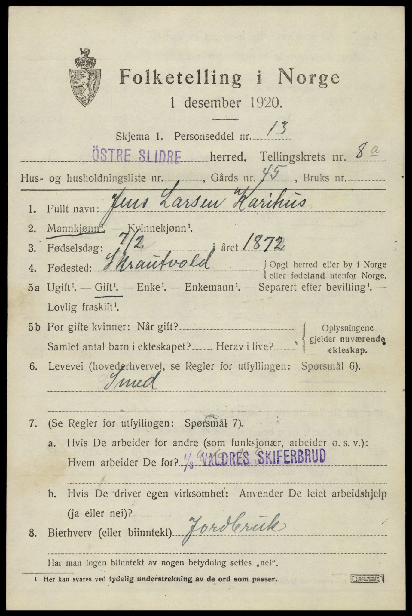 SAH, 1920 census for Øystre Slidre, 1920, p. 5335