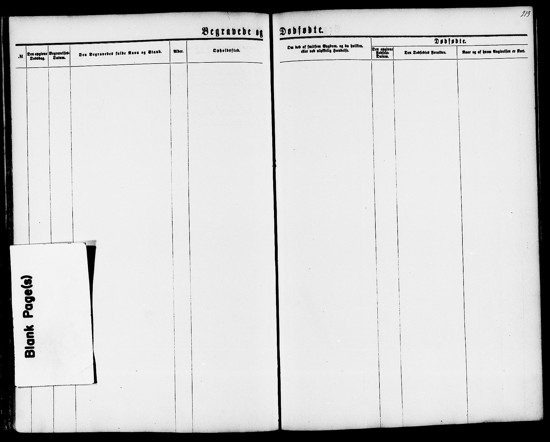 Langesund kirkebøker, AV/SAKO-A-280/G/Ga/L0004: Parish register (copy) no. 4, 1859-1884, p. 213