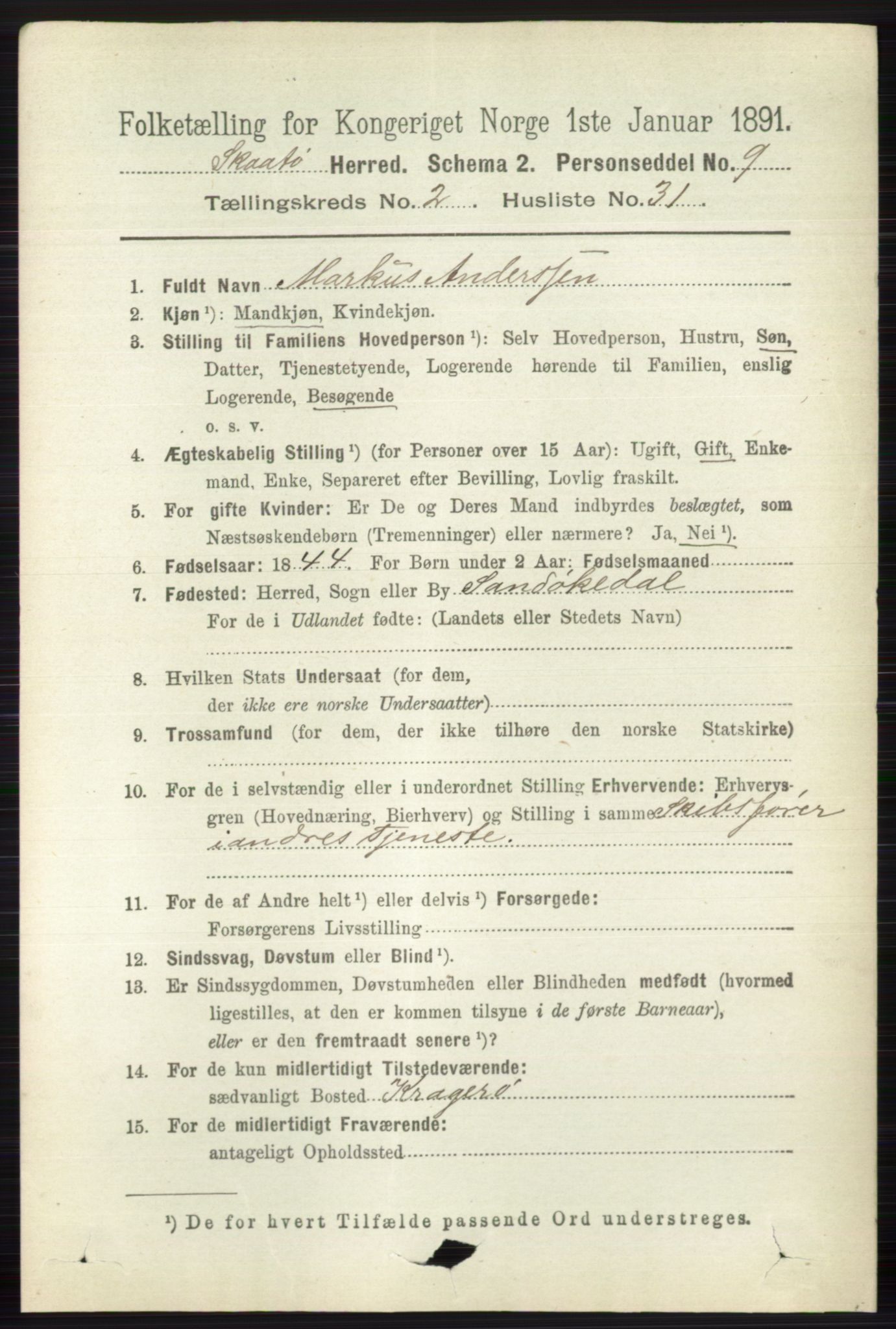 RA, 1891 census for 0815 Skåtøy, 1891, p. 595