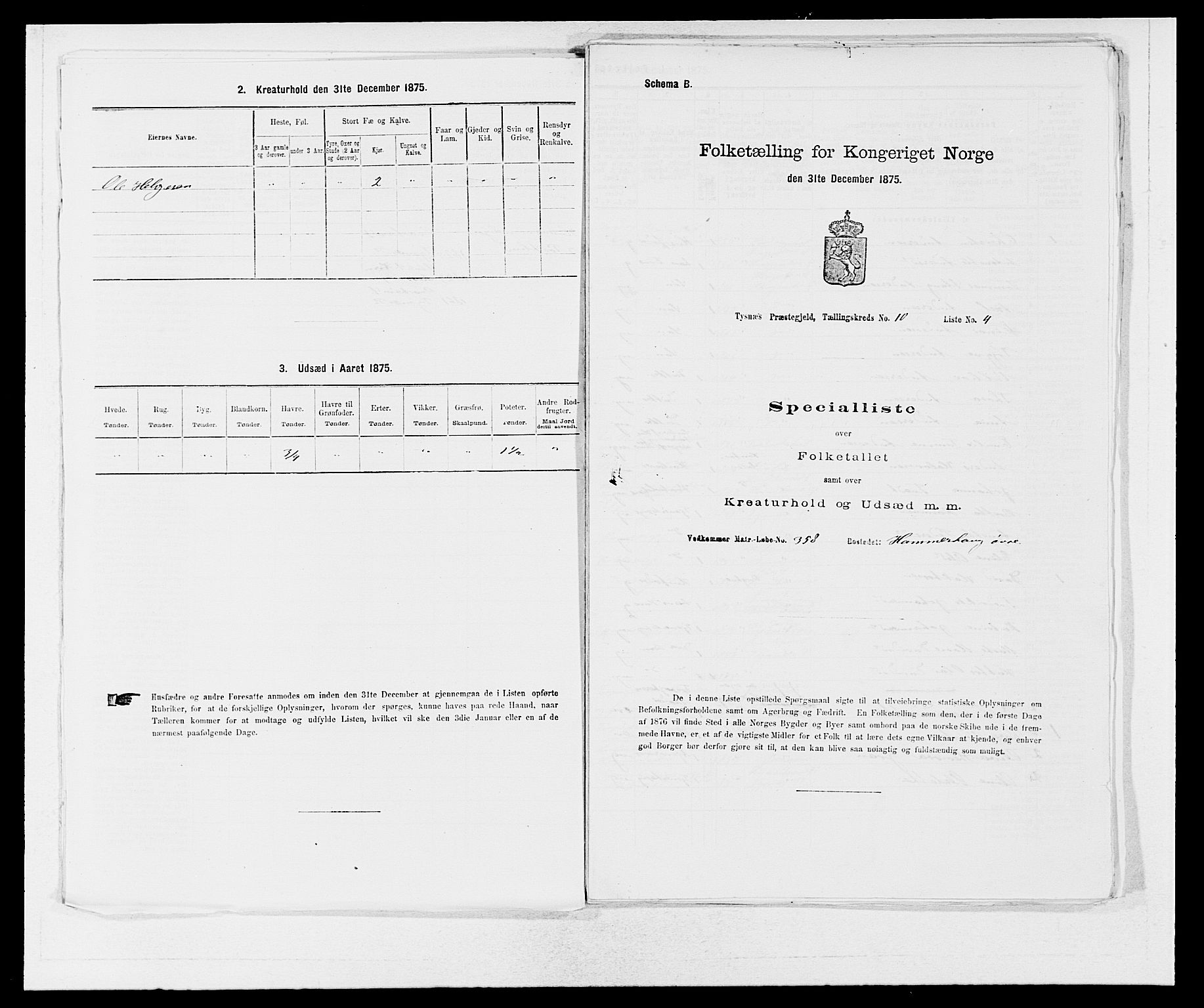 SAB, 1875 census for 1223P Tysnes, 1875, p. 1133