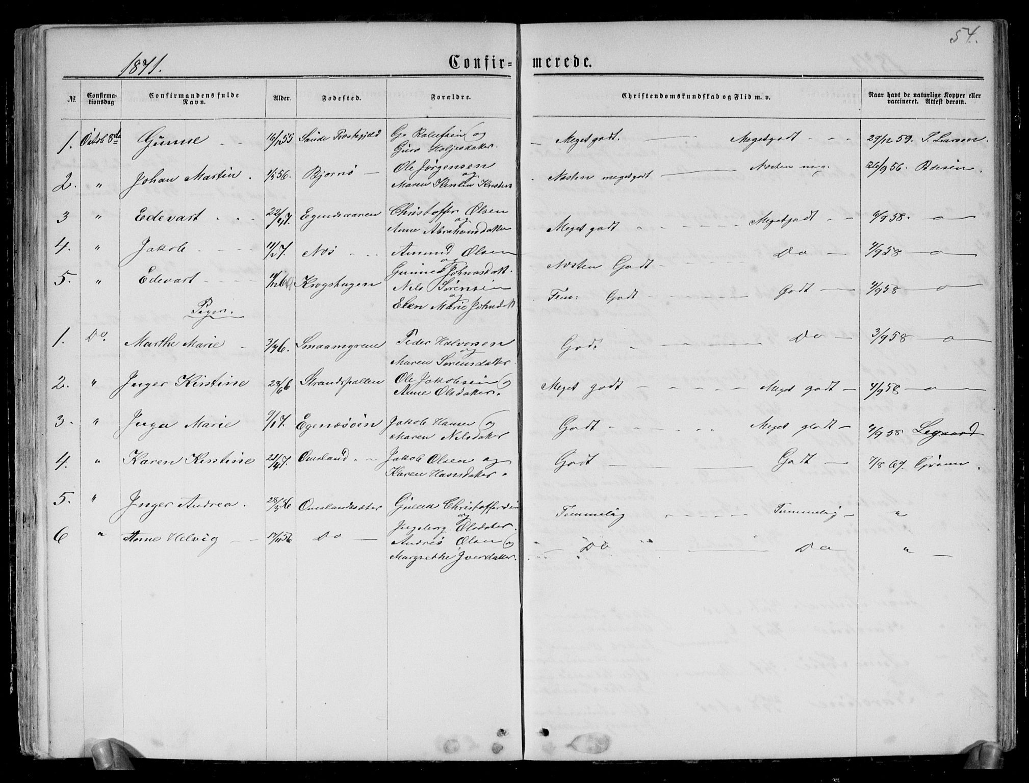 Brunlanes kirkebøker, SAKO/A-342/G/Gc/L0001: Parish register (copy) no. III 1, 1866-1890, p. 54