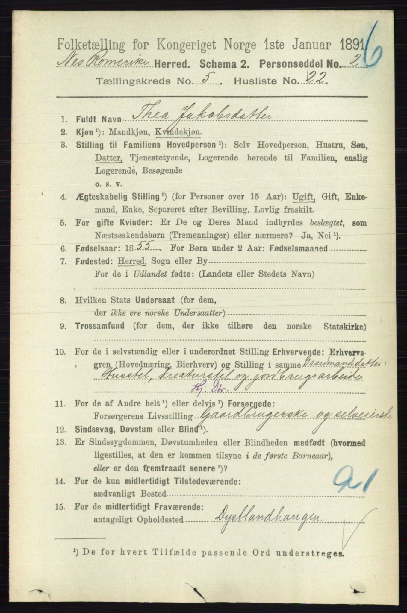 RA, 1891 census for 0236 Nes, 1891, p. 2910