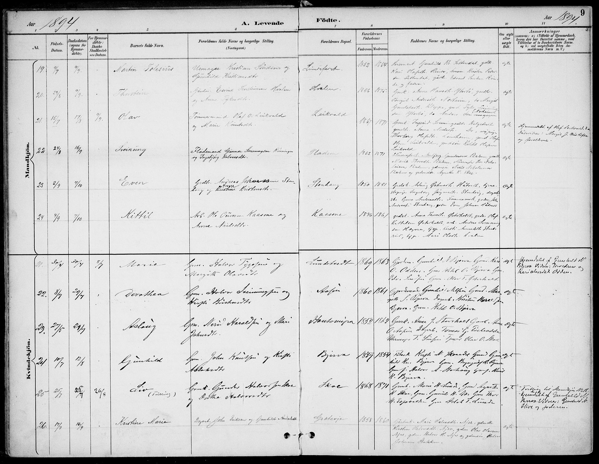 Lunde kirkebøker, AV/SAKO-A-282/F/Fa/L0003: Parish register (official) no. I 3, 1893-1902, p. 9