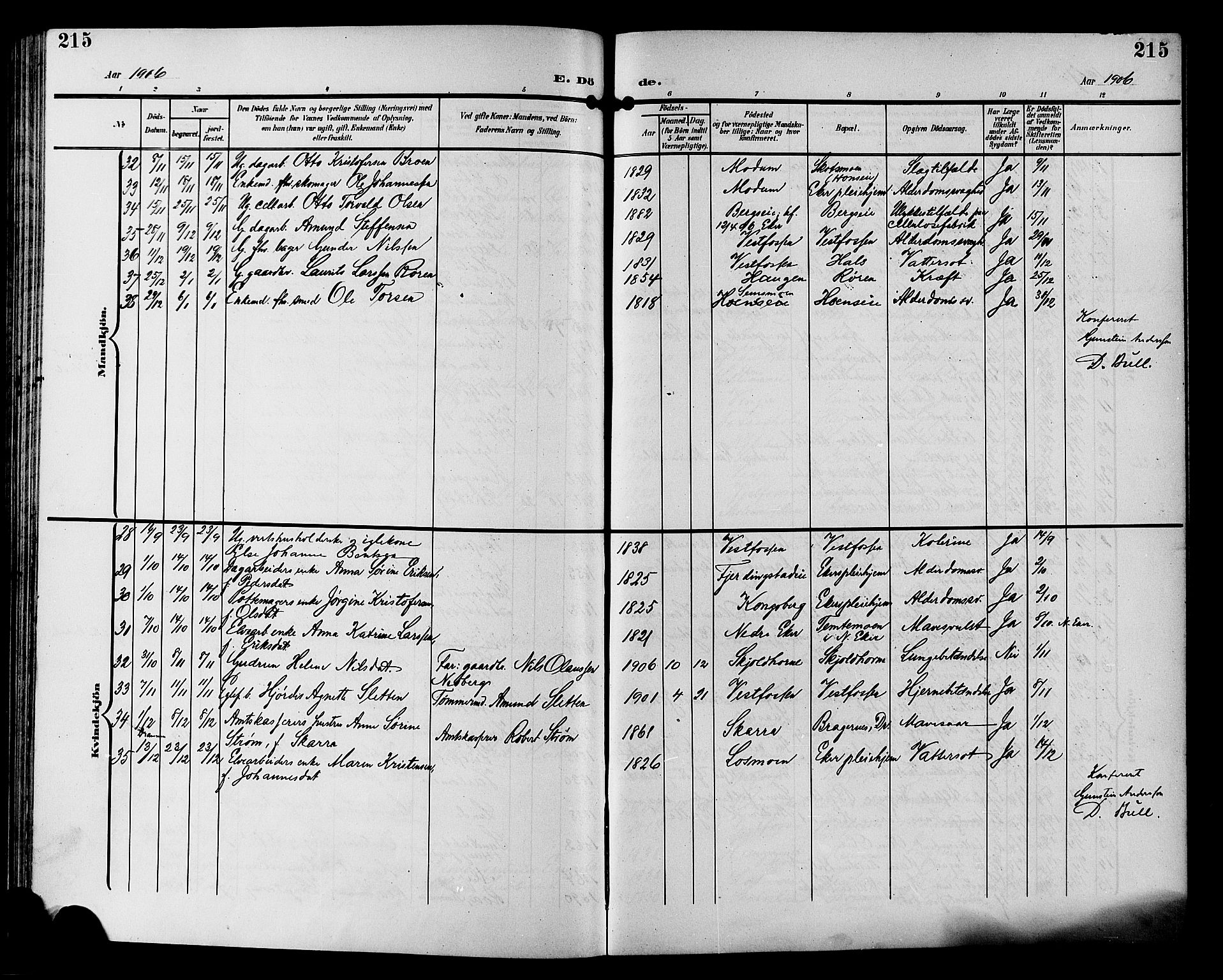 Eiker kirkebøker, SAKO/A-4/G/Ga/L0008: Parish register (copy) no. I 8, 1903-1914, p. 215