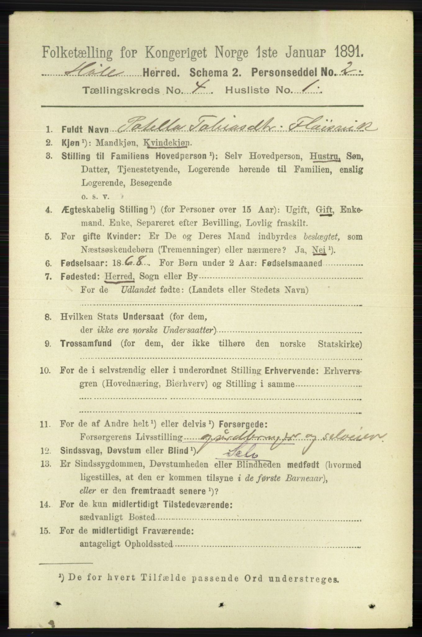 RA, 1891 census for 1128 Høle, 1891, p. 849