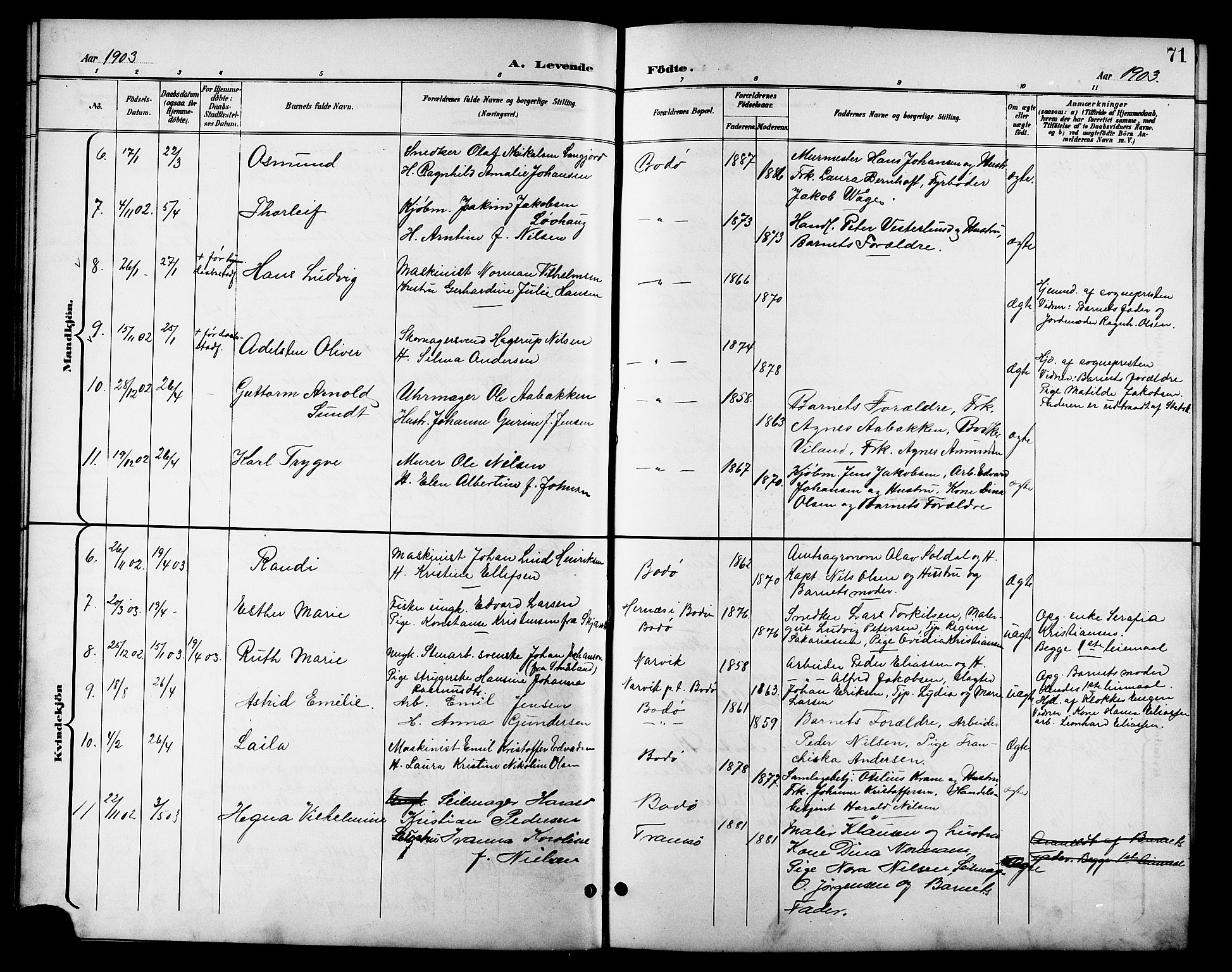 Ministerialprotokoller, klokkerbøker og fødselsregistre - Nordland, AV/SAT-A-1459/801/L0033: Parish register (copy) no. 801C08, 1898-1910, p. 71