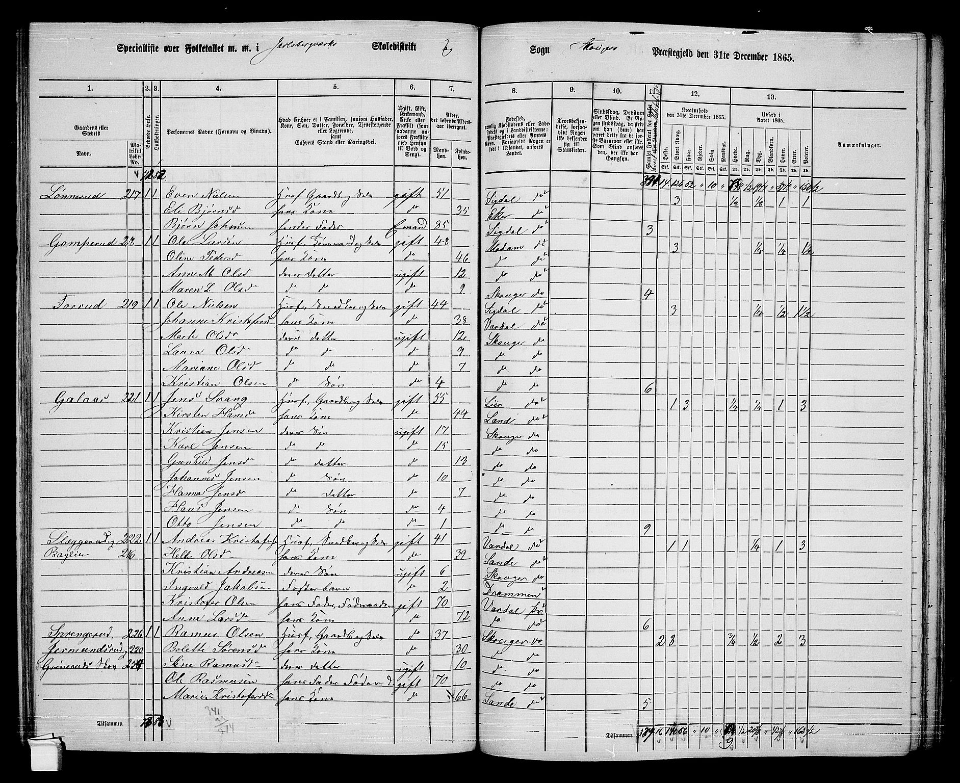 RA, 1865 census for Skoger, 1865, p. 105