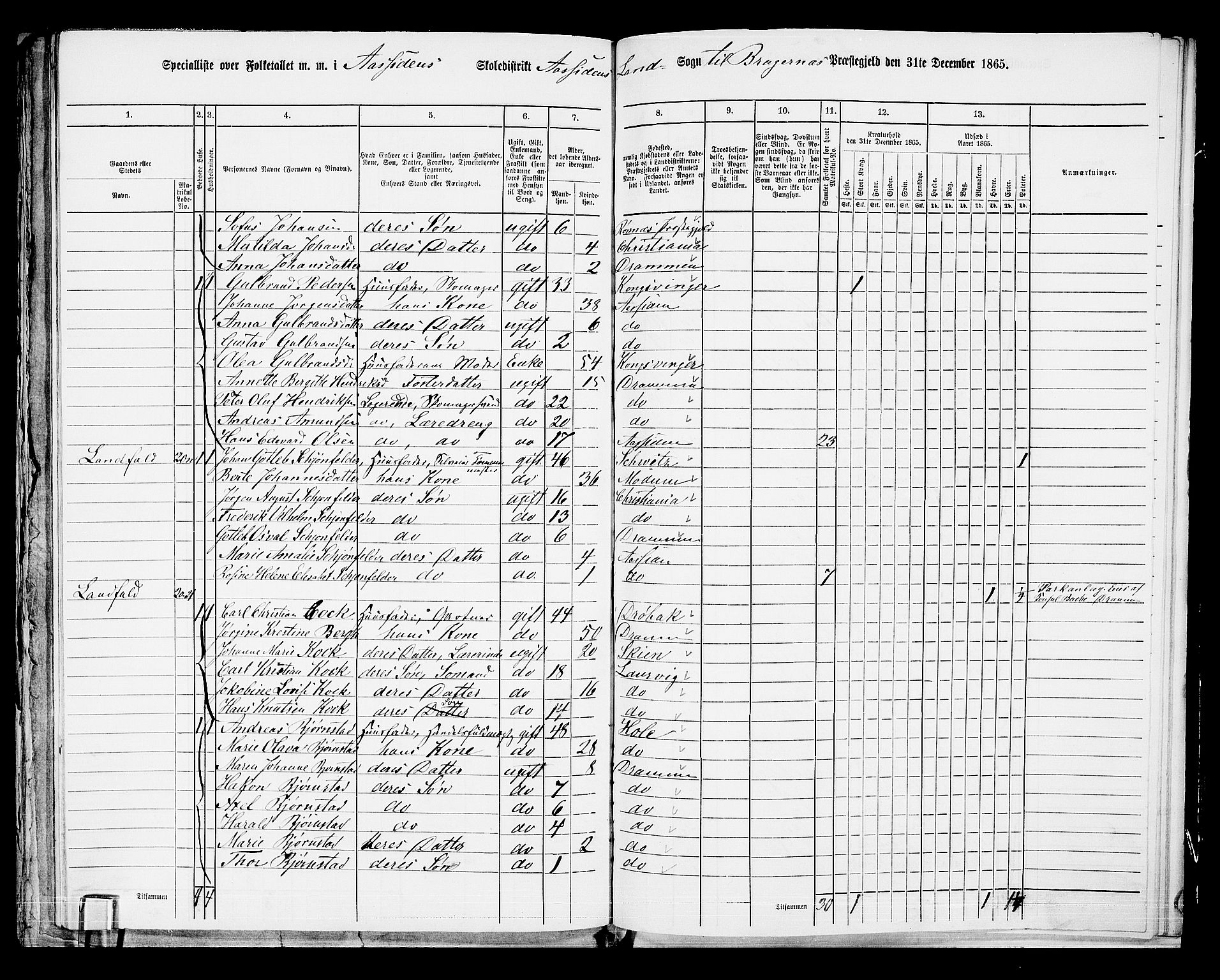 RA, 1865 census for Bragernes/Åssiden, 1865, p. 23