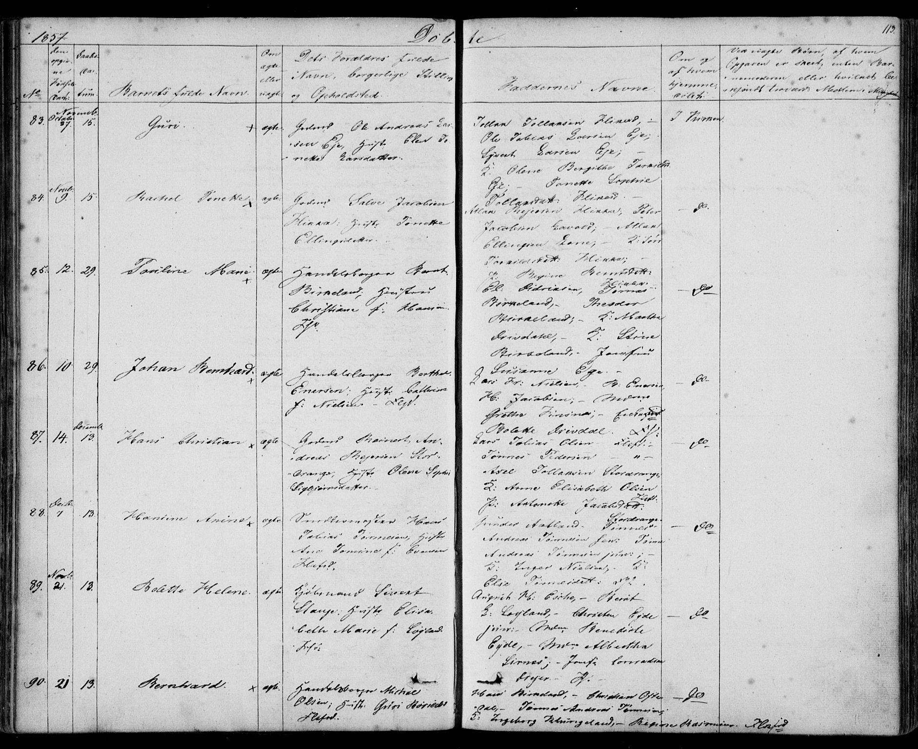 Flekkefjord sokneprestkontor, SAK/1111-0012/F/Fb/Fbc/L0005: Parish register (copy) no. B 5, 1846-1866, p. 113