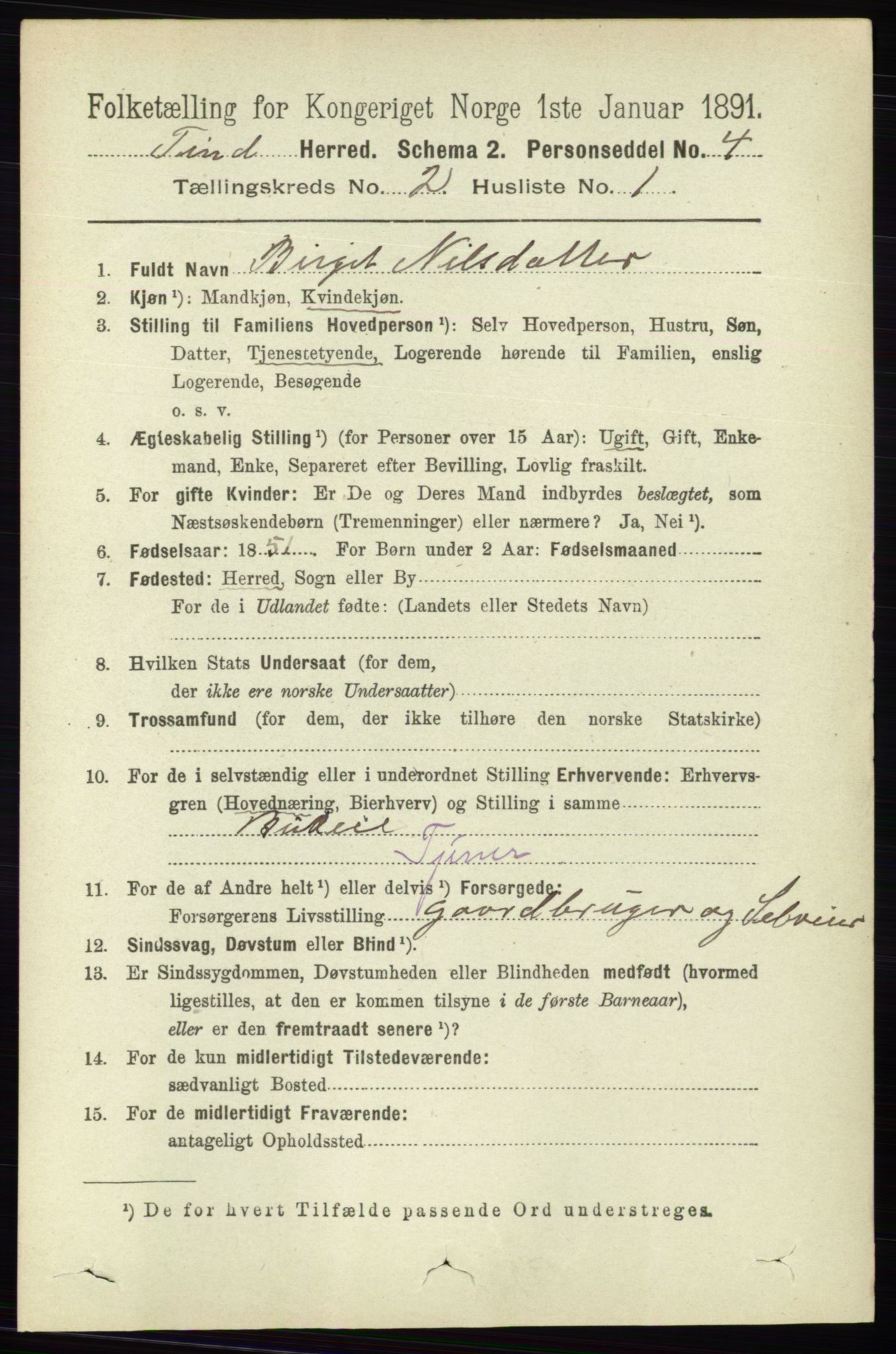 RA, 1891 census for 0826 Tinn, 1891, p. 152