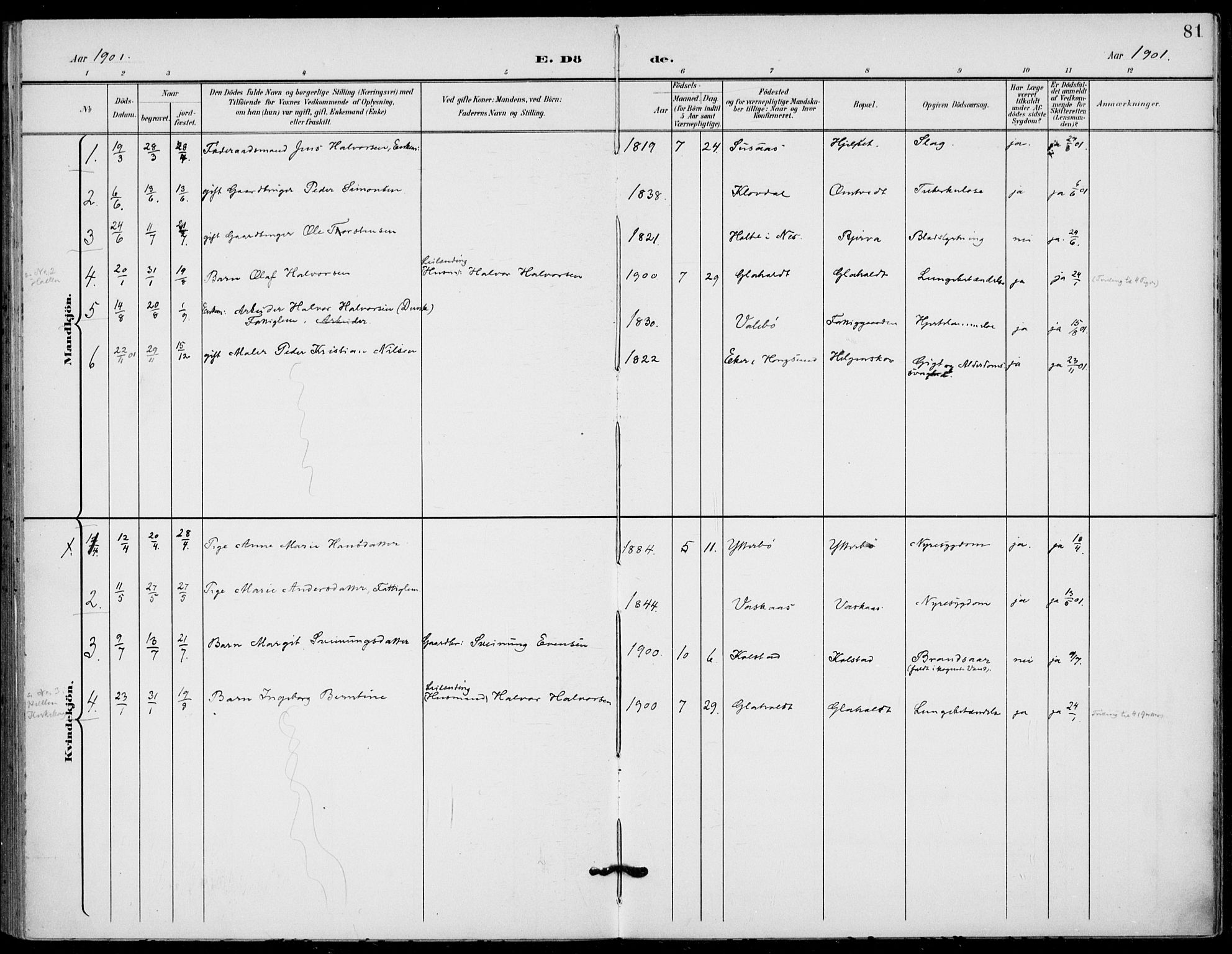 Holla kirkebøker, AV/SAKO-A-272/F/Fa/L0011: Parish register (official) no. 11, 1897-1928, p. 81