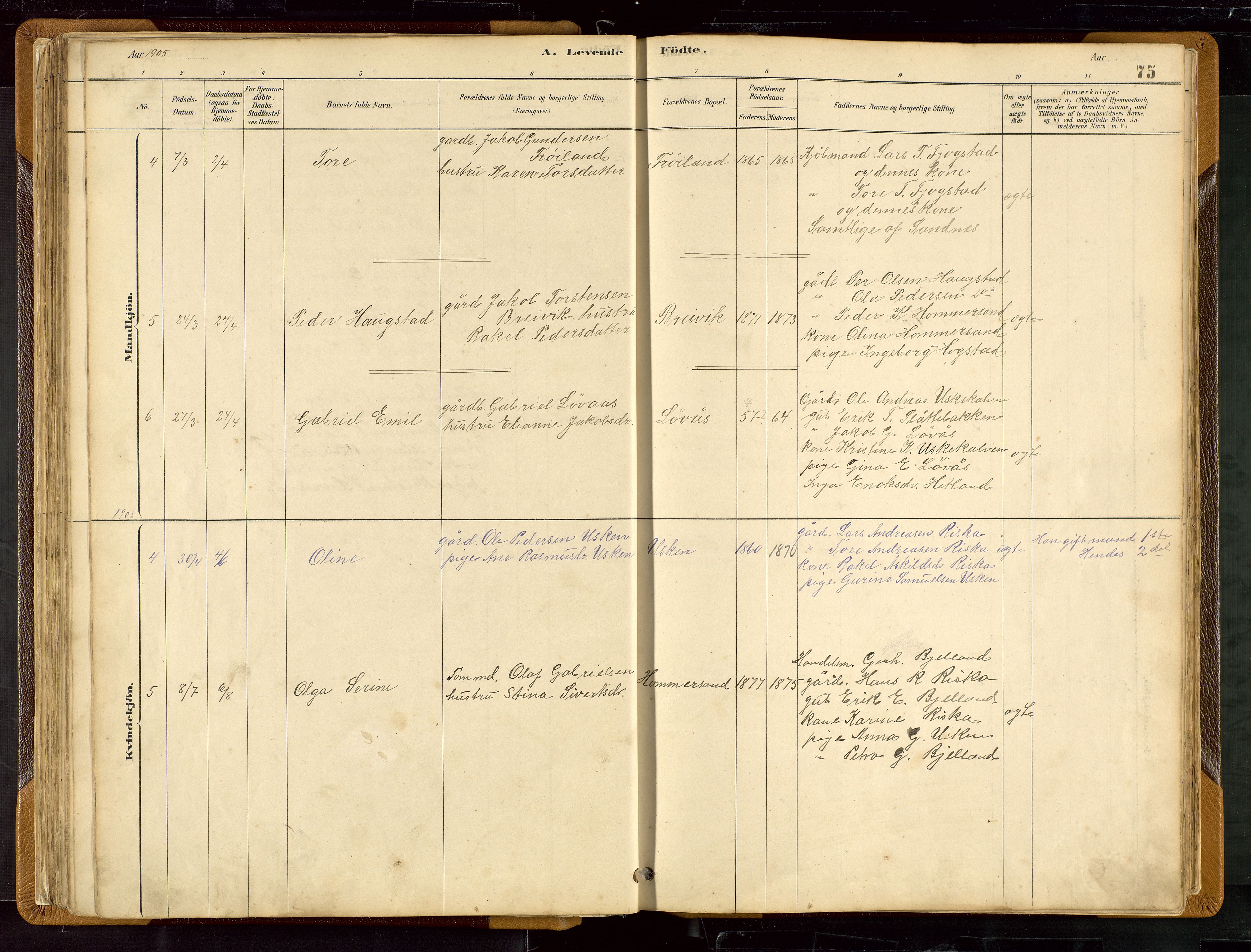 Hetland sokneprestkontor, AV/SAST-A-101826/30/30BB/L0007: Parish register (copy) no. B 7, 1878-1910, p. 75