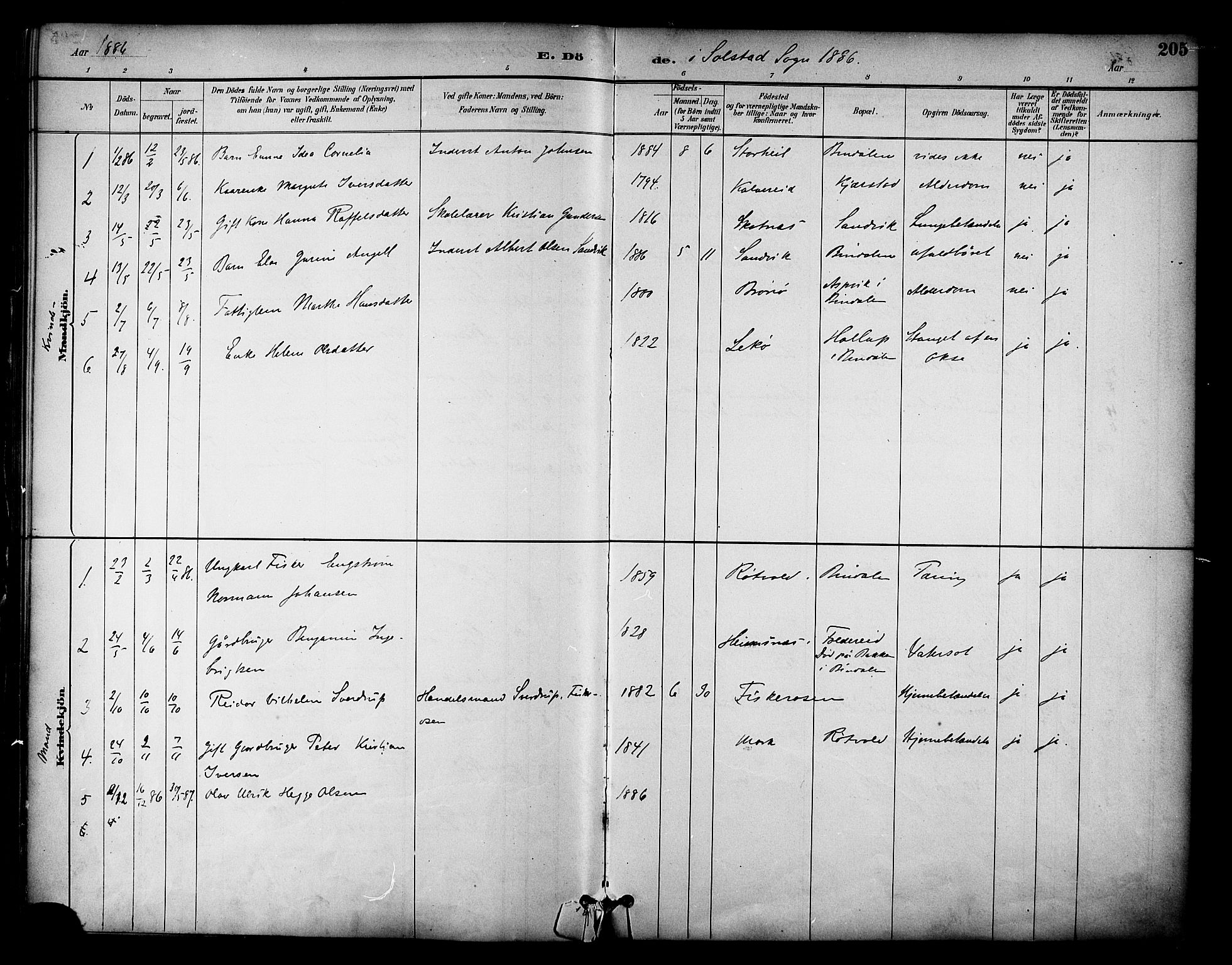 Ministerialprotokoller, klokkerbøker og fødselsregistre - Nordland, AV/SAT-A-1459/810/L0151: Parish register (official) no. 810A10 /2, 1885-1895, p. 205