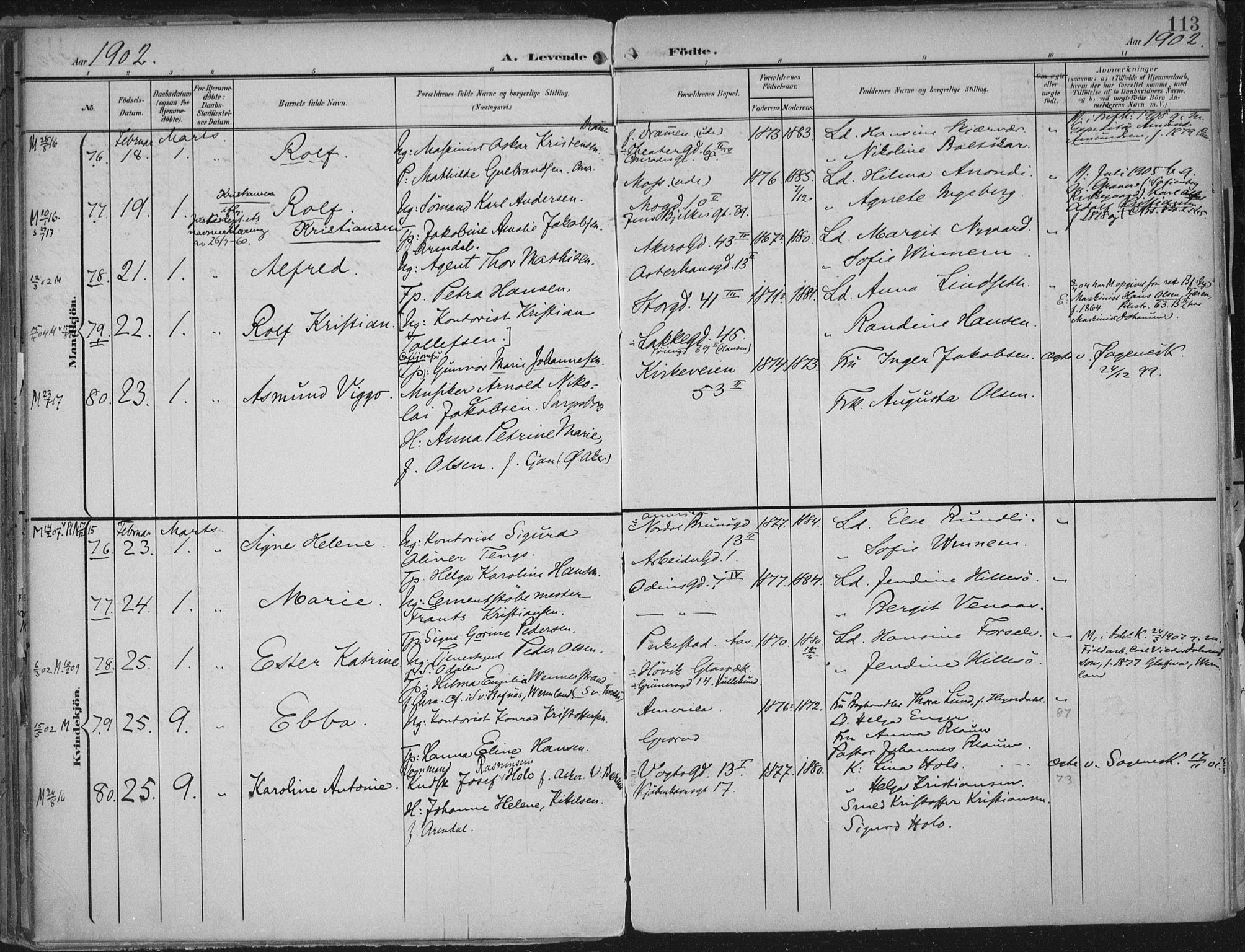 Rikshospitalet prestekontor Kirkebøker, SAO/A-10309b/F/L0012: Parish register (official) no. 12, 1901-1904, p. 113