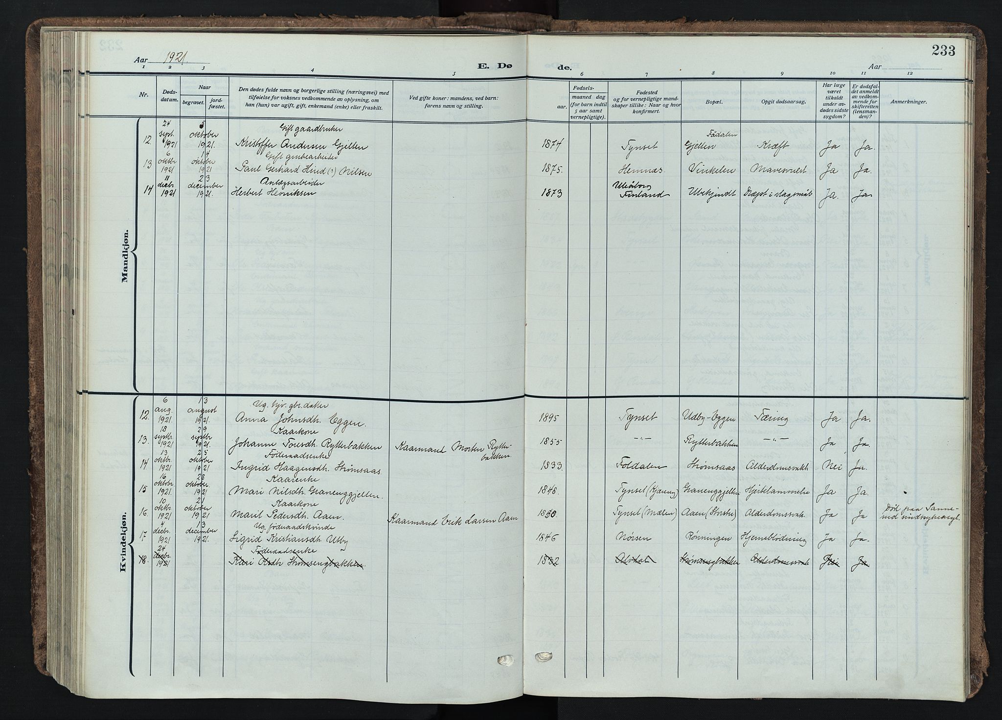 Tynset prestekontor, SAH/PREST-058/H/Ha/Haa/L0026: Parish register (official) no. 26, 1915-1929, p. 233