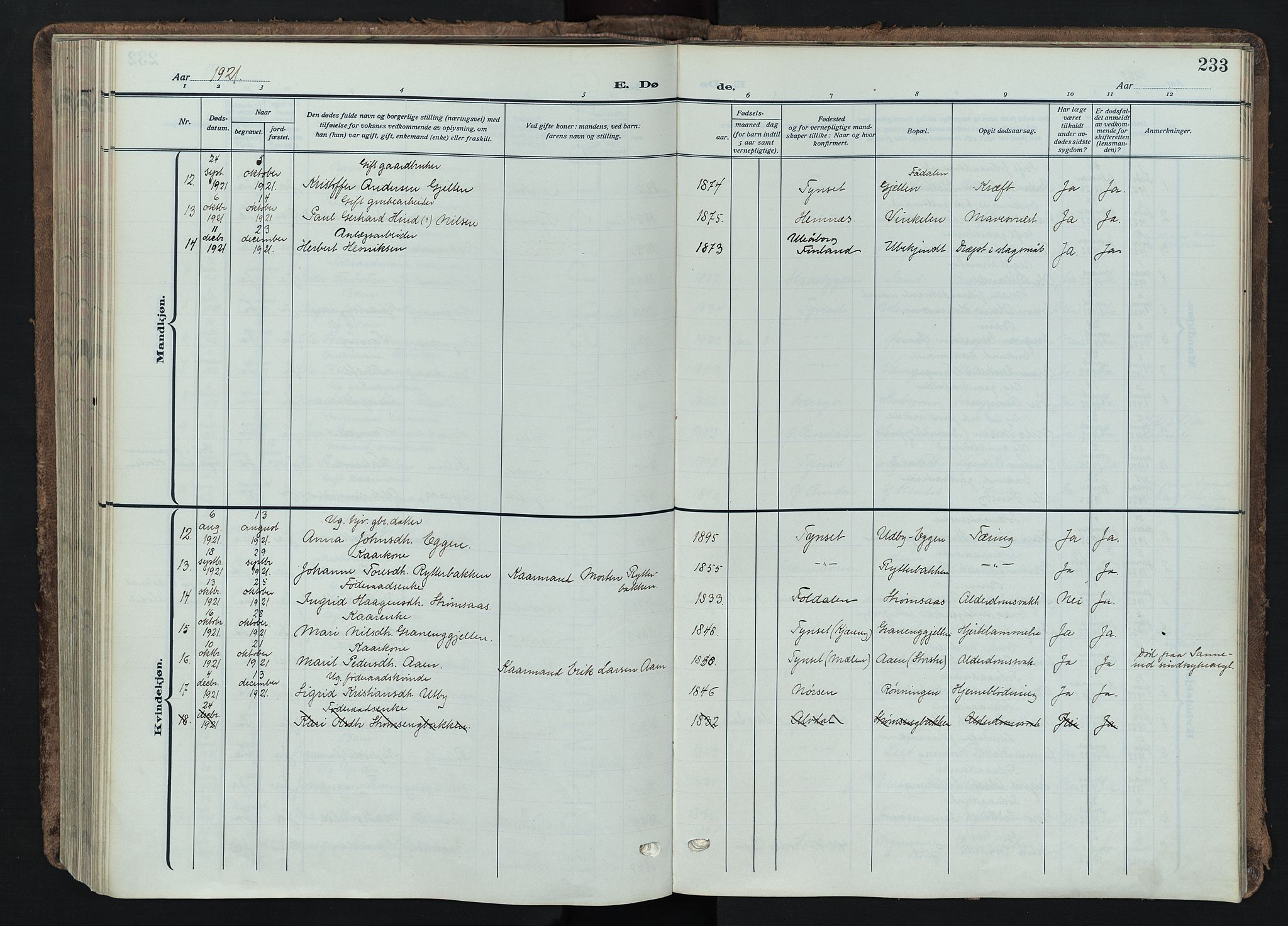 Tynset prestekontor, AV/SAH-PREST-058/H/Ha/Haa/L0026: Parish register (official) no. 26, 1915-1929, p. 233