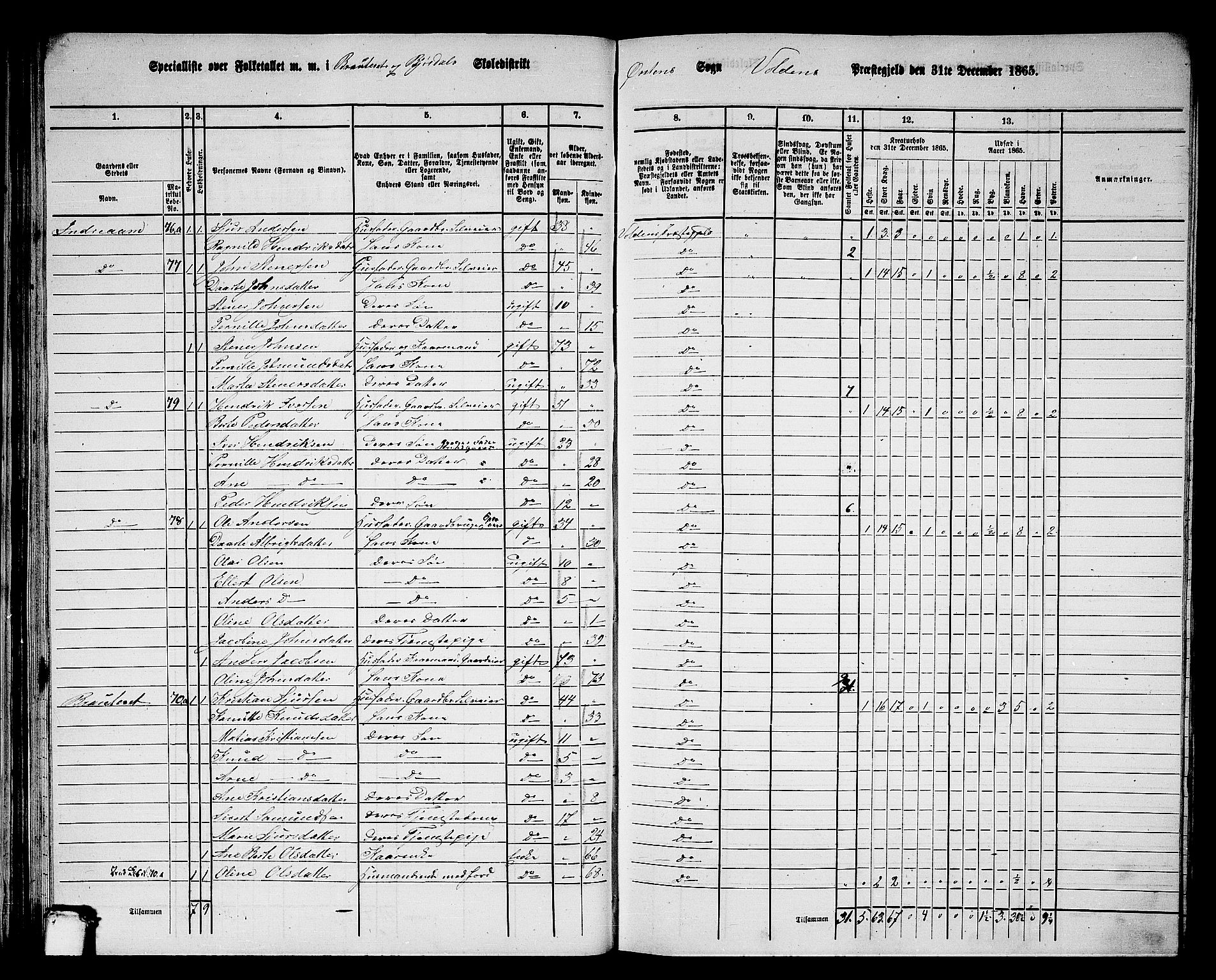 RA, 1865 census for Volda, 1865, p. 61